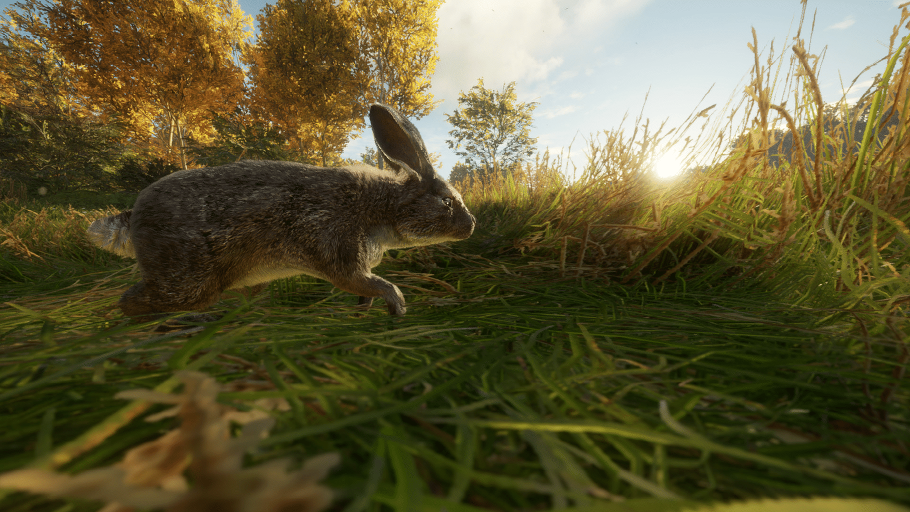 TheHunter: Call of the Wild - Free Species: European Rabbit screenshot