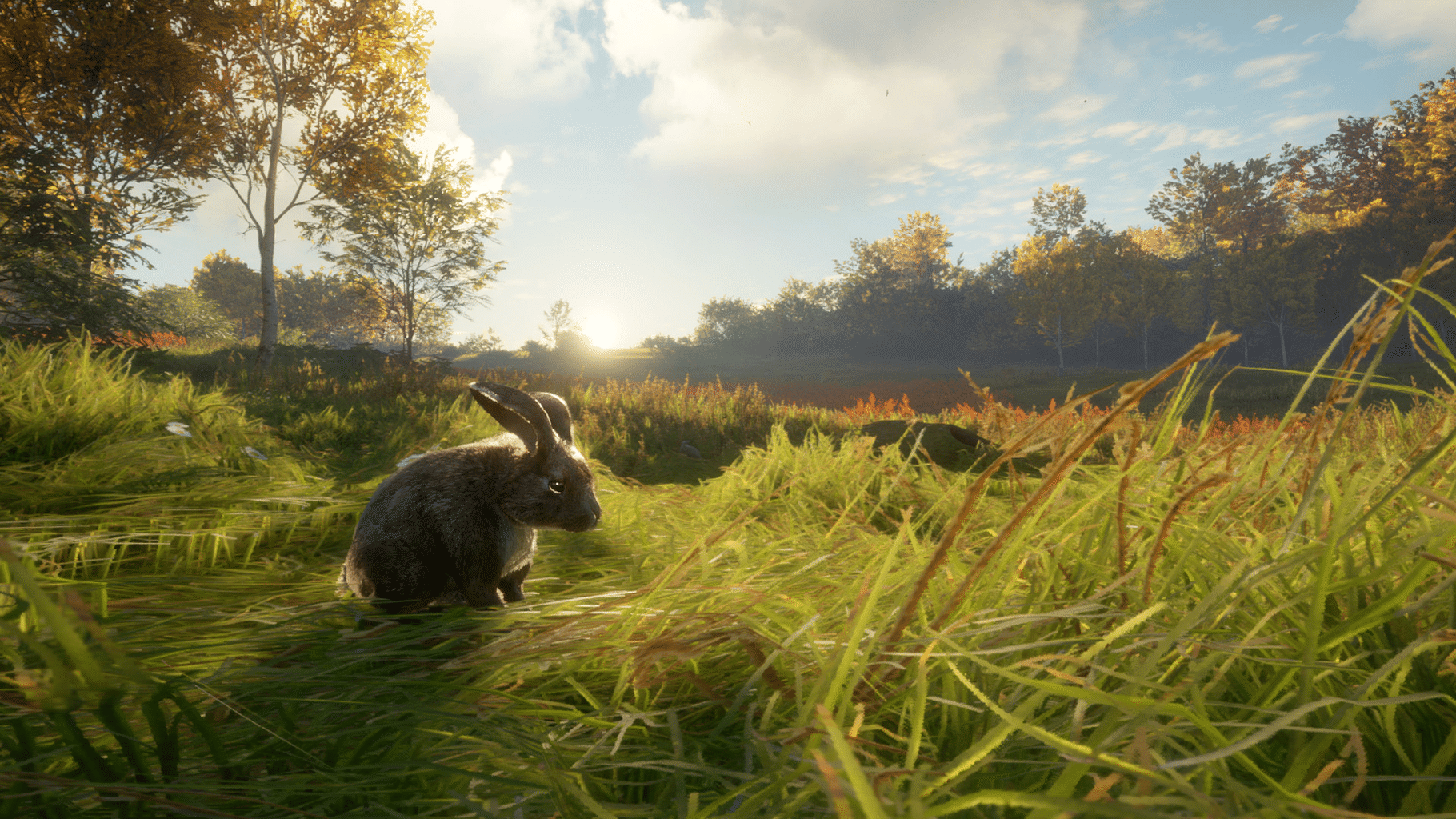 TheHunter: Call of the Wild - Free Species: European Rabbit screenshot