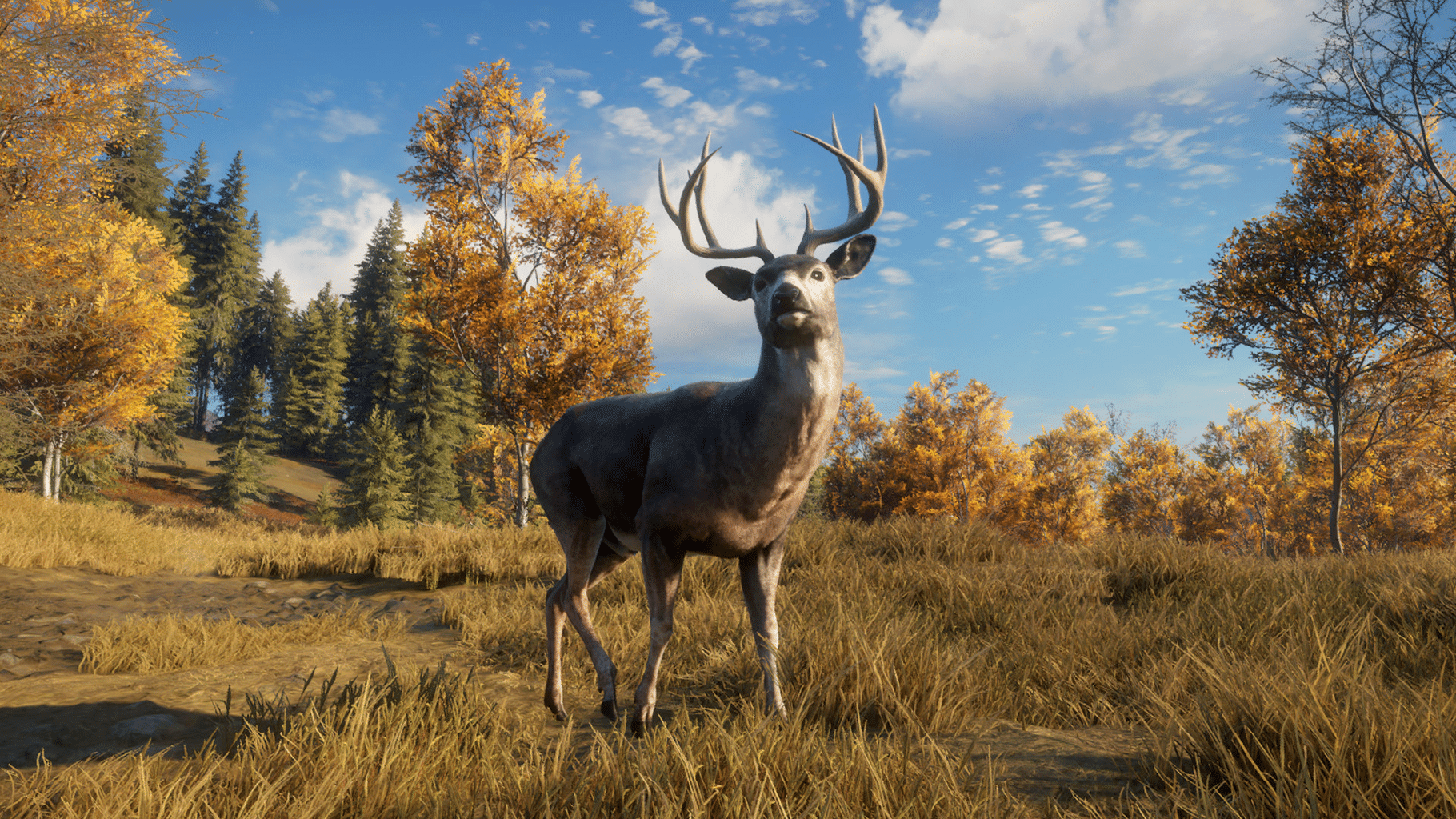 TheHunter: Call of the Wild - TruRACS screenshot