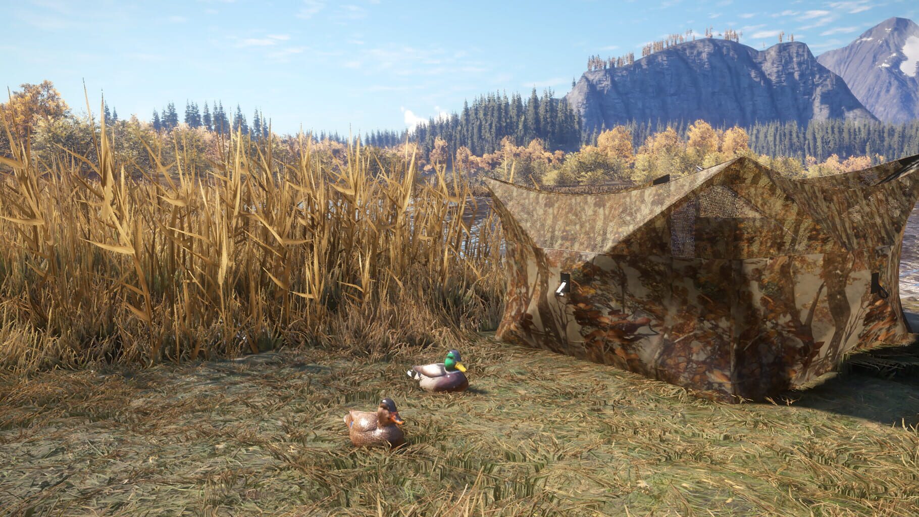 TheHunter: Call of the Wild - Duck and Cover Pack