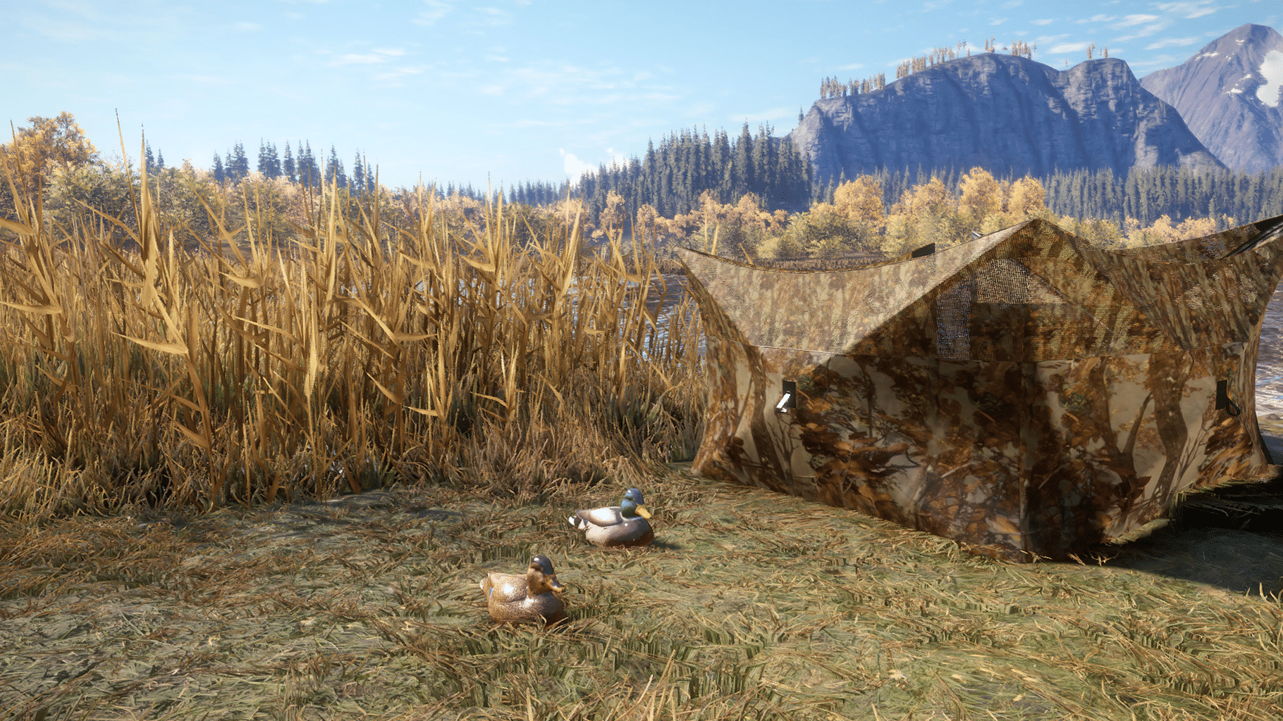 TheHunter: Call of the Wild - Duck and Cover Pack screenshot