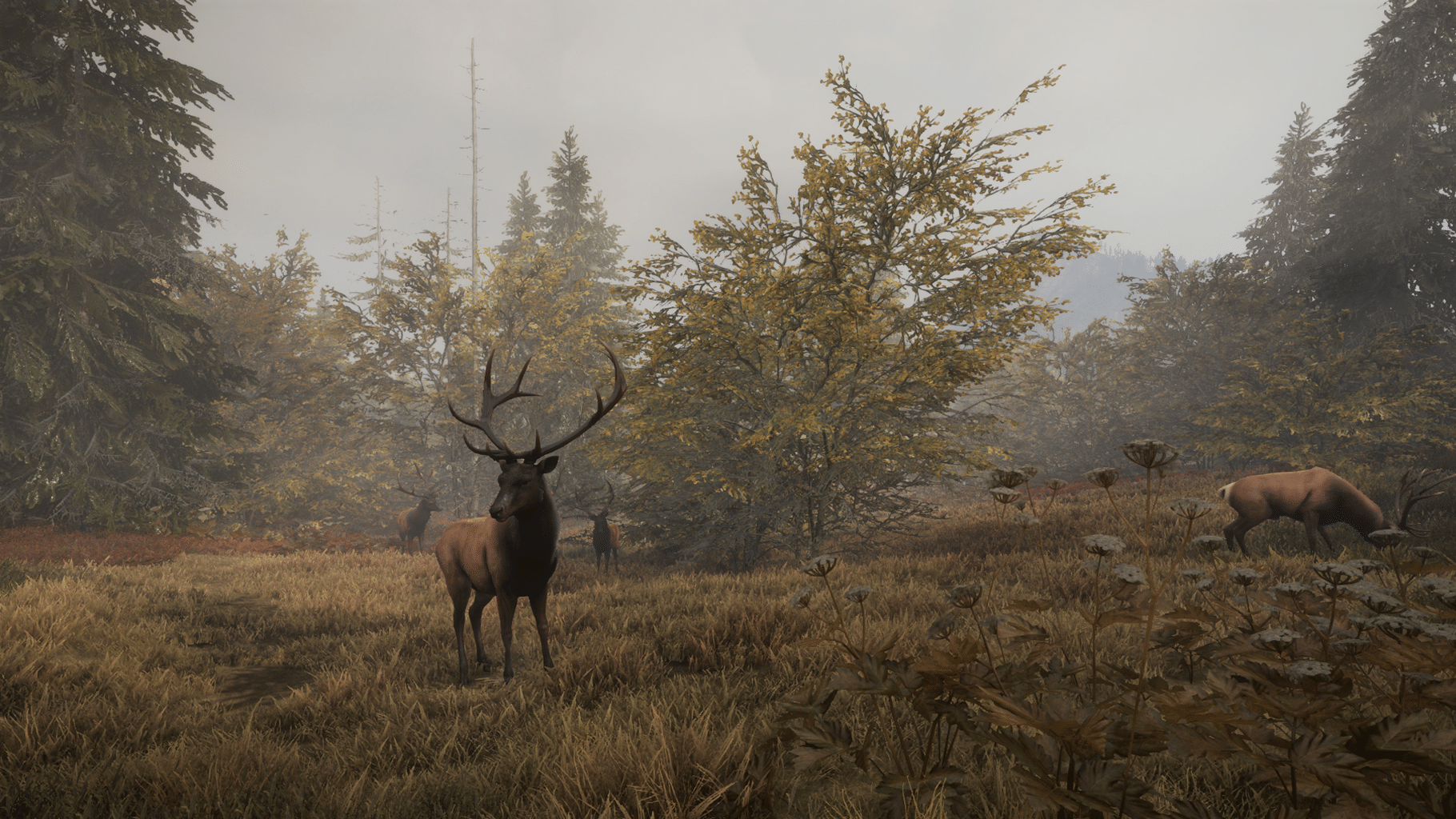 TheHunter: Call of the Wild - Facing the Wild 1 screenshot