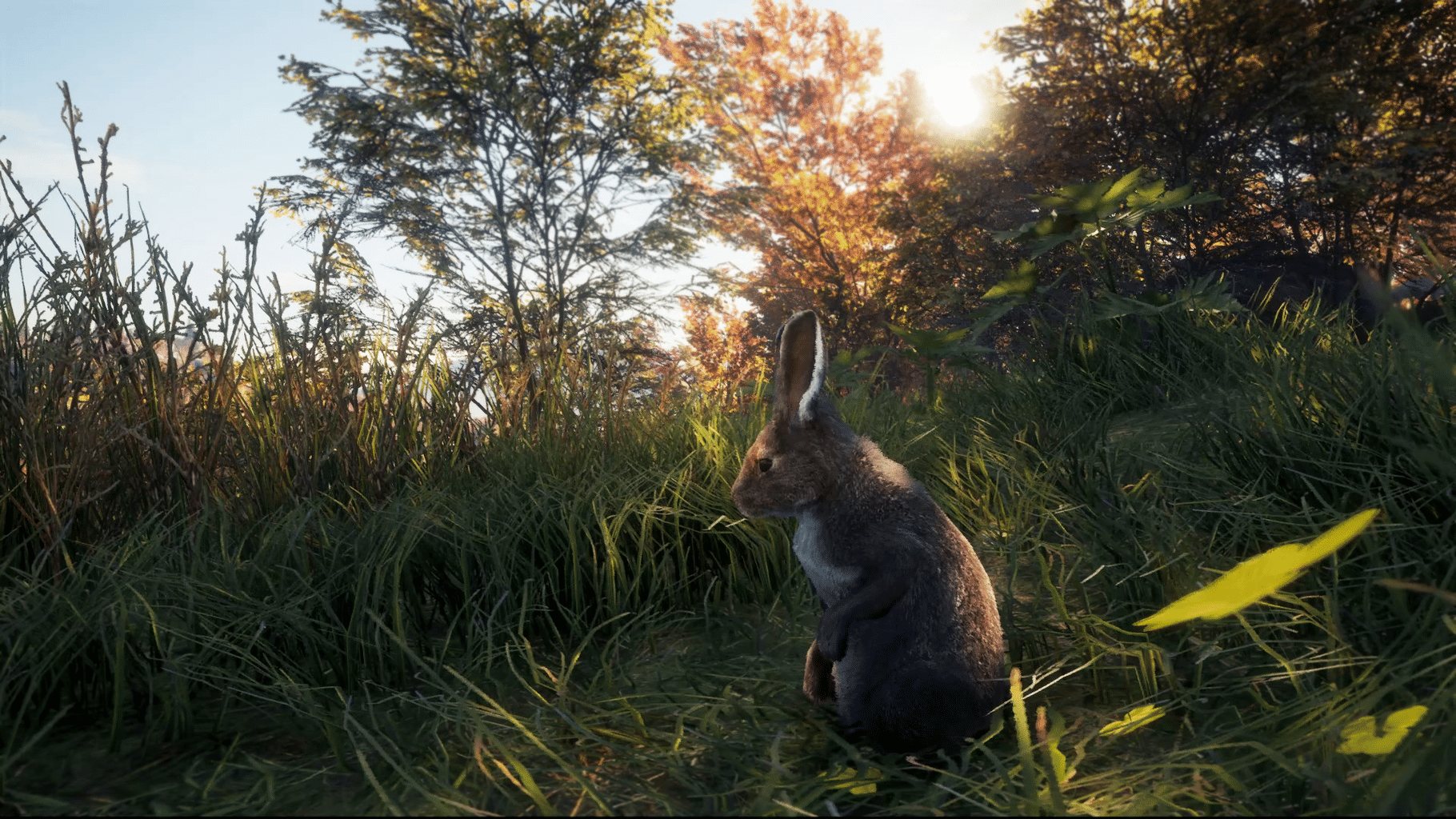 TheHunter: Call of the Wild - New Species 2018 screenshot