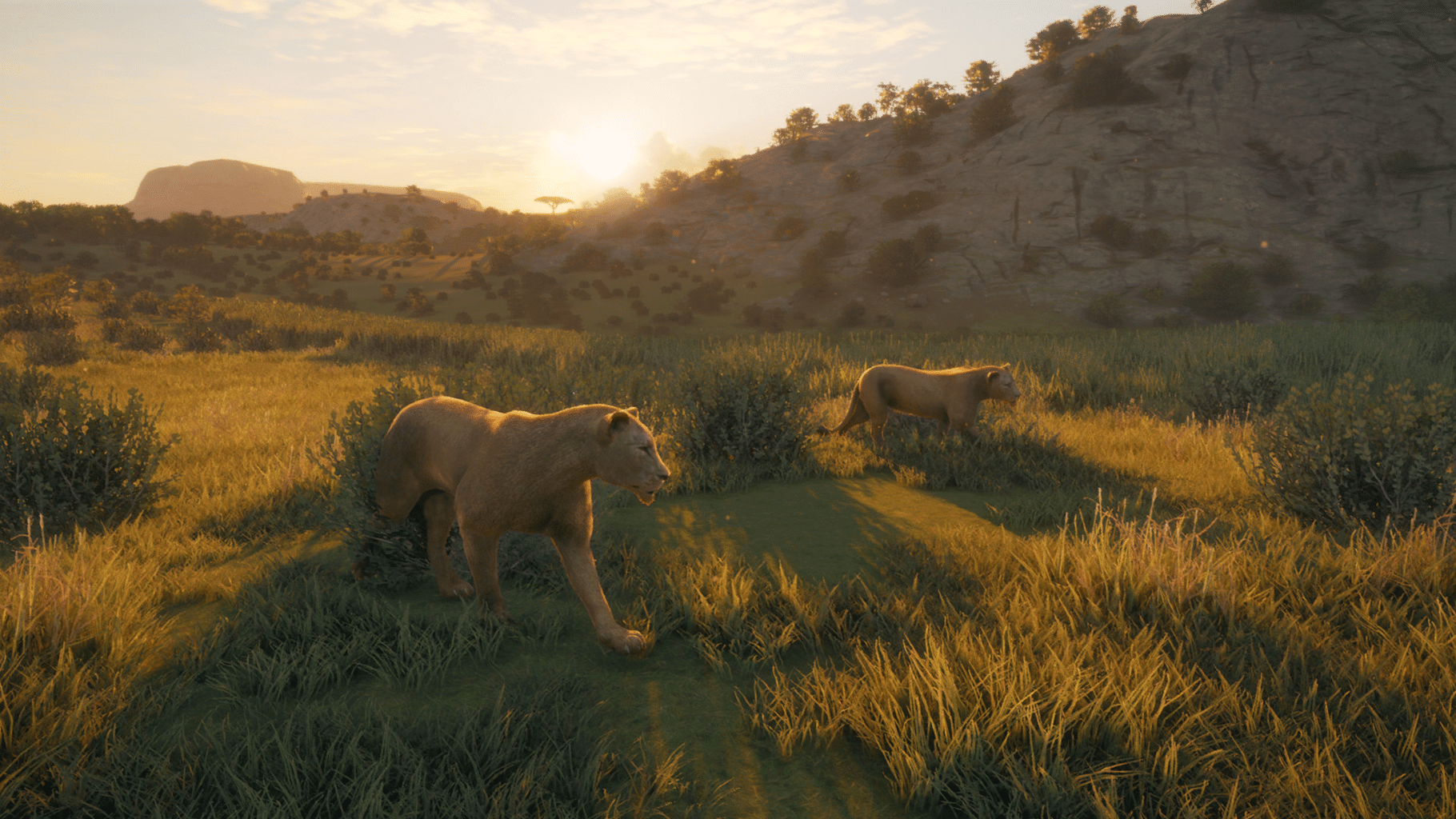 TheHunter: Call of the Wild - New Species 2019 screenshot