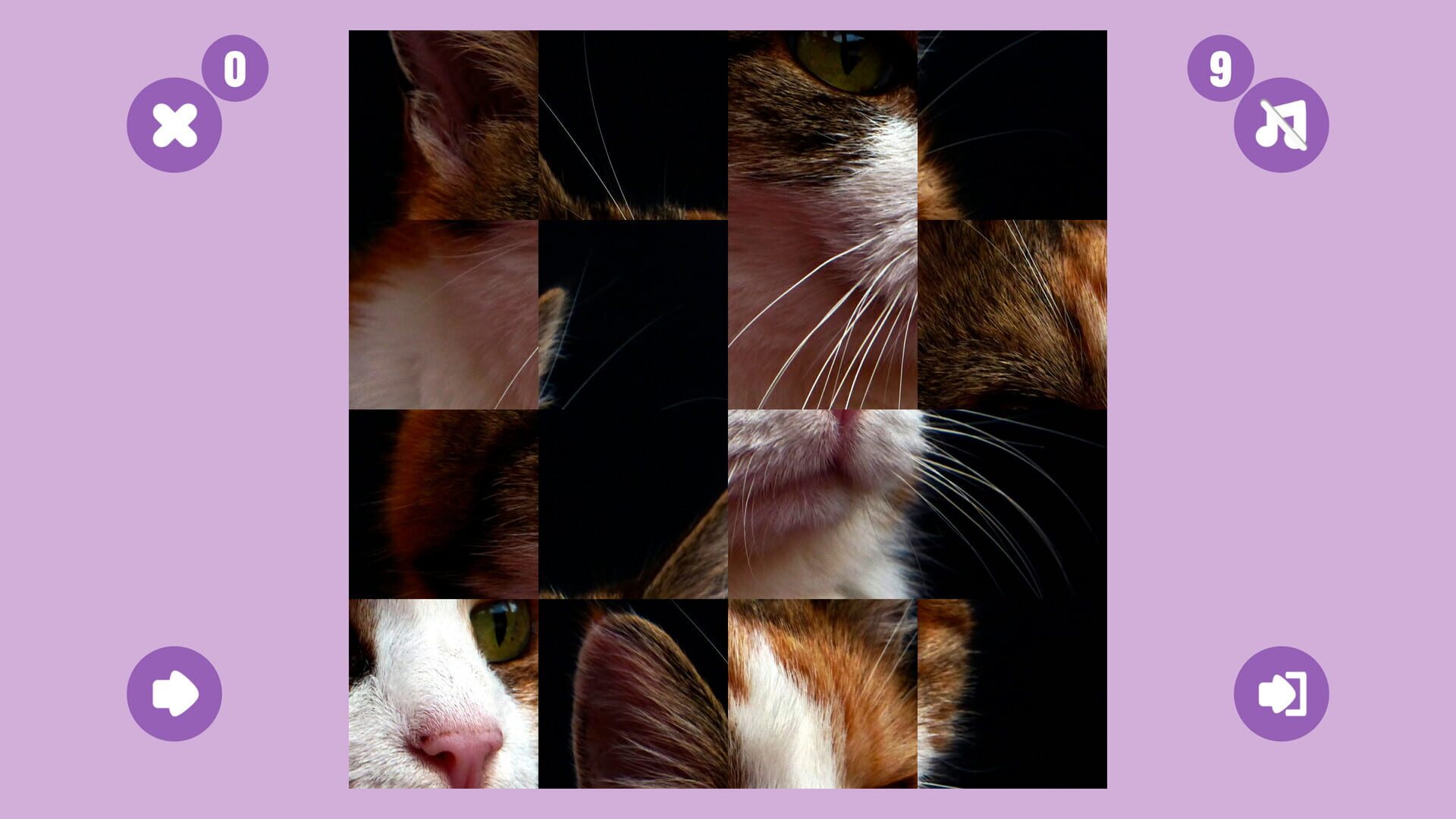 Cat Game - Screenshot