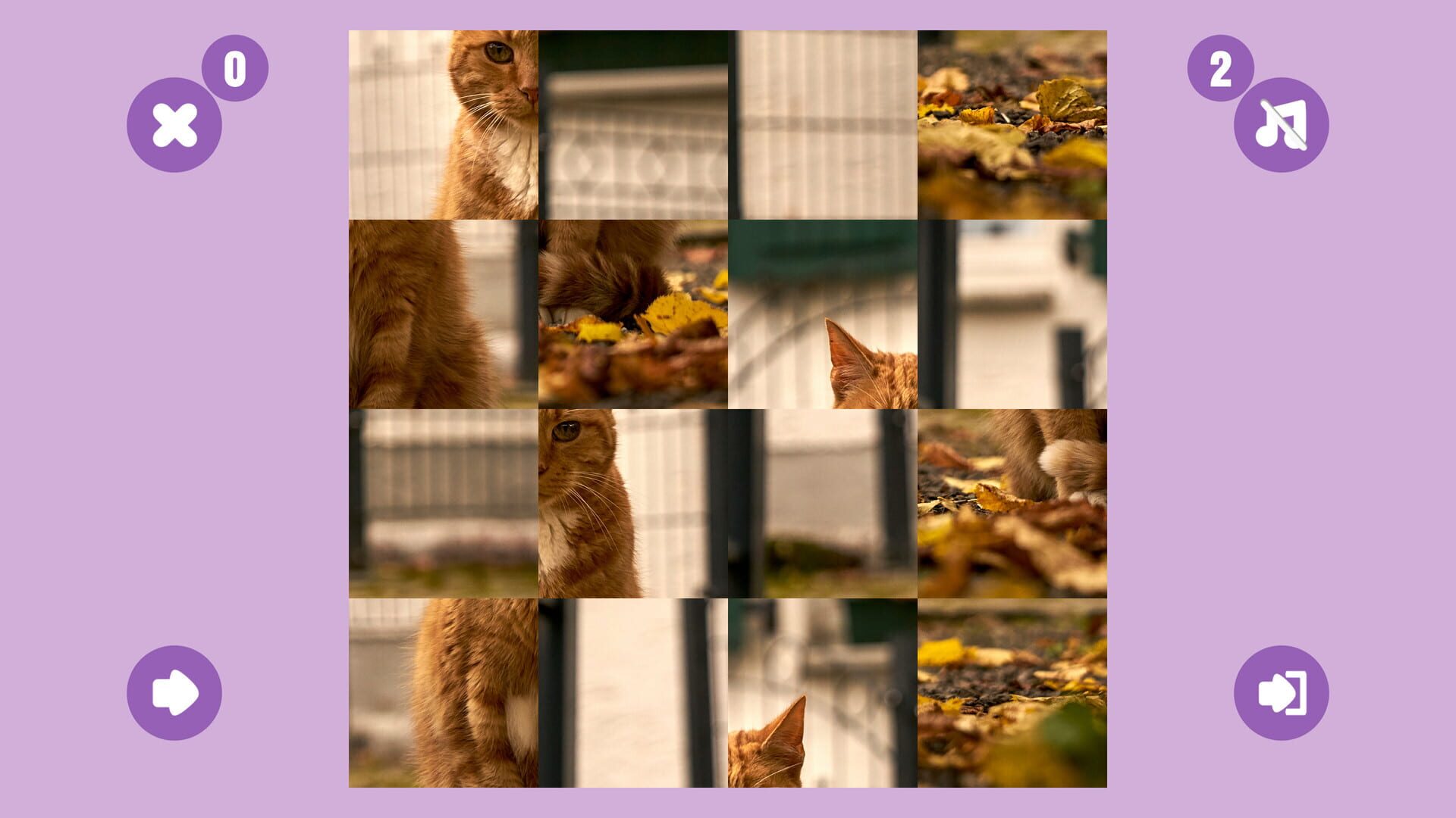 Cat Game - Screenshot