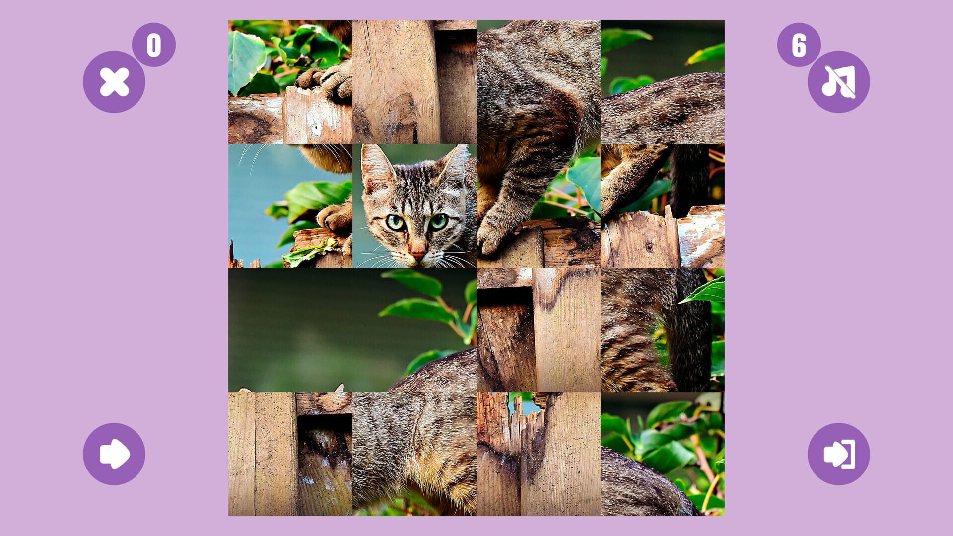 Cat Game - Screenshot