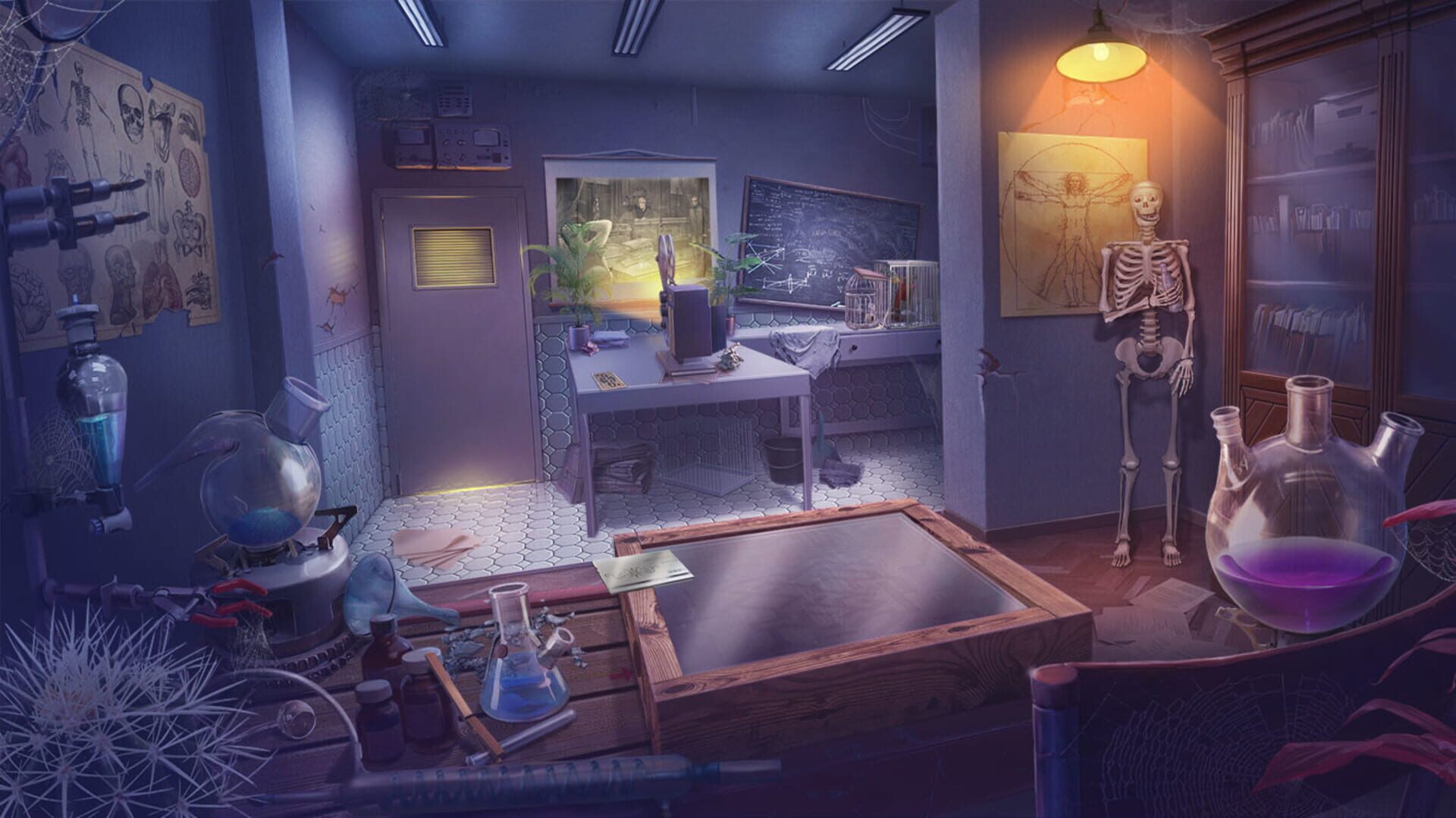 Strange Investigations: Two for Solitaire - Collector's Edition