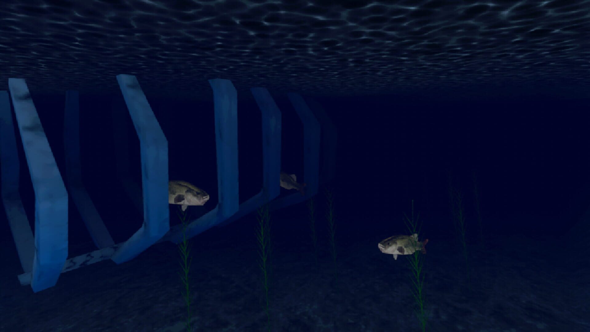 Fish Cymophis - Screenshot