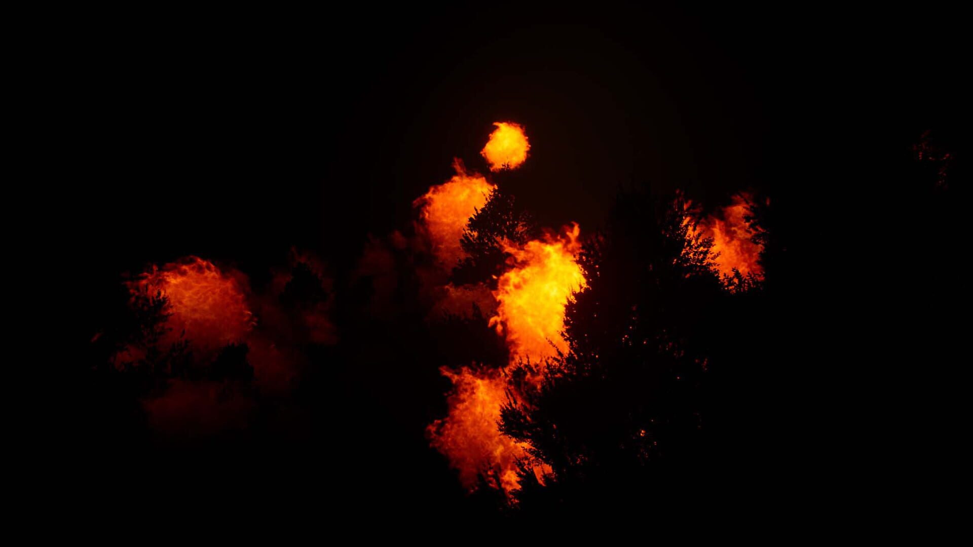 Deer Journey - Screenshot