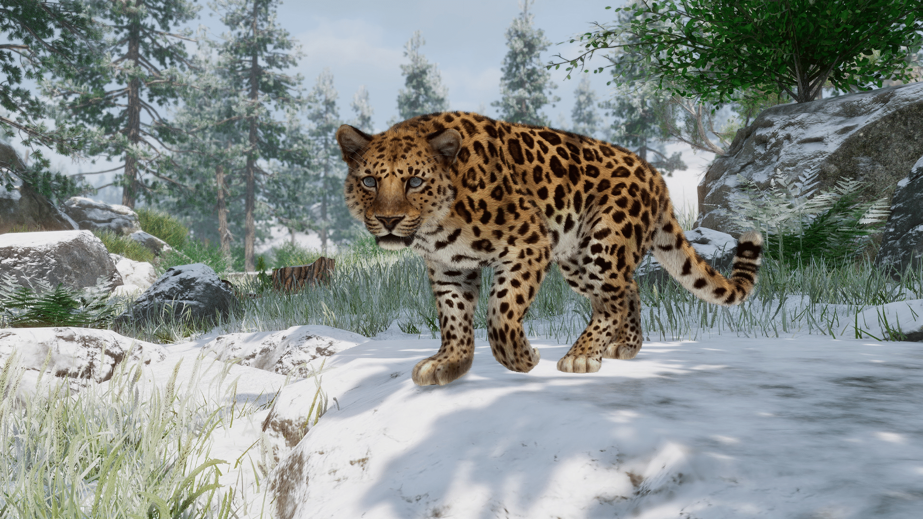 Planet Zoo: Conservation Pack screenshot
