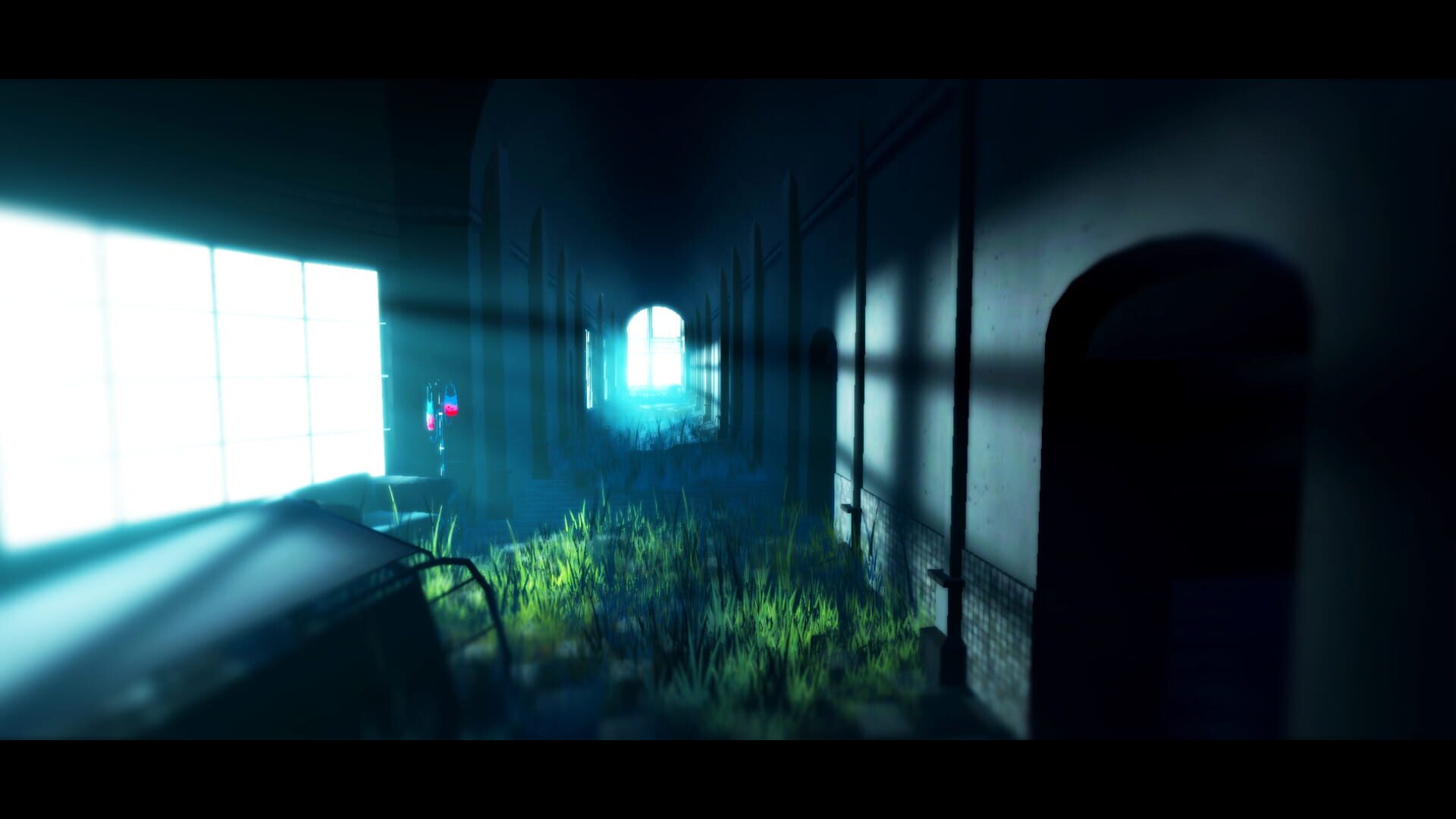 Acanthoceras - Screenshot