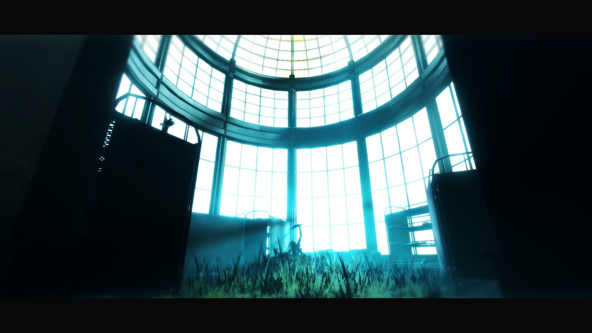 Acanthoceras - Screenshot