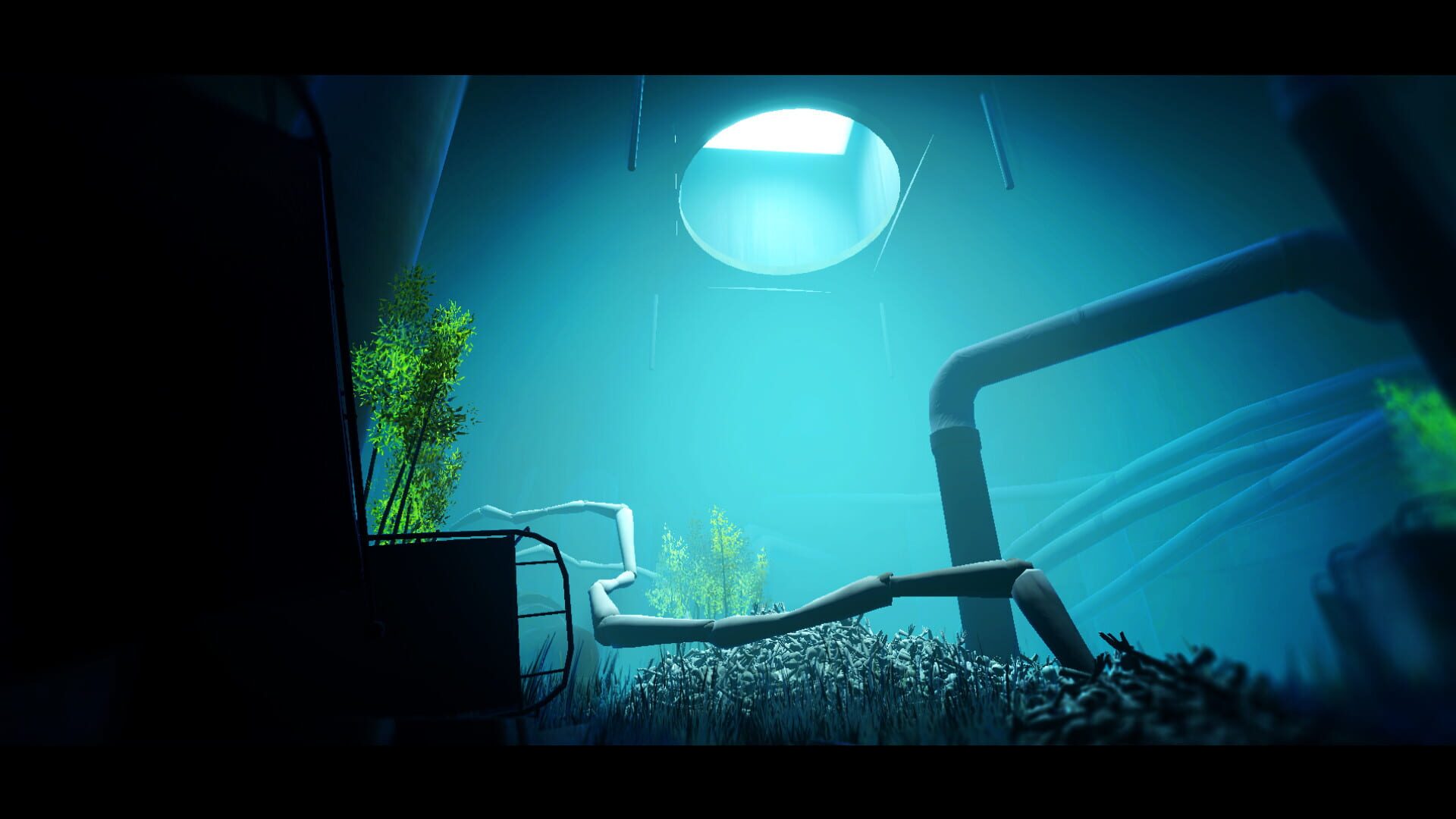 Acanthoceras - Screenshot