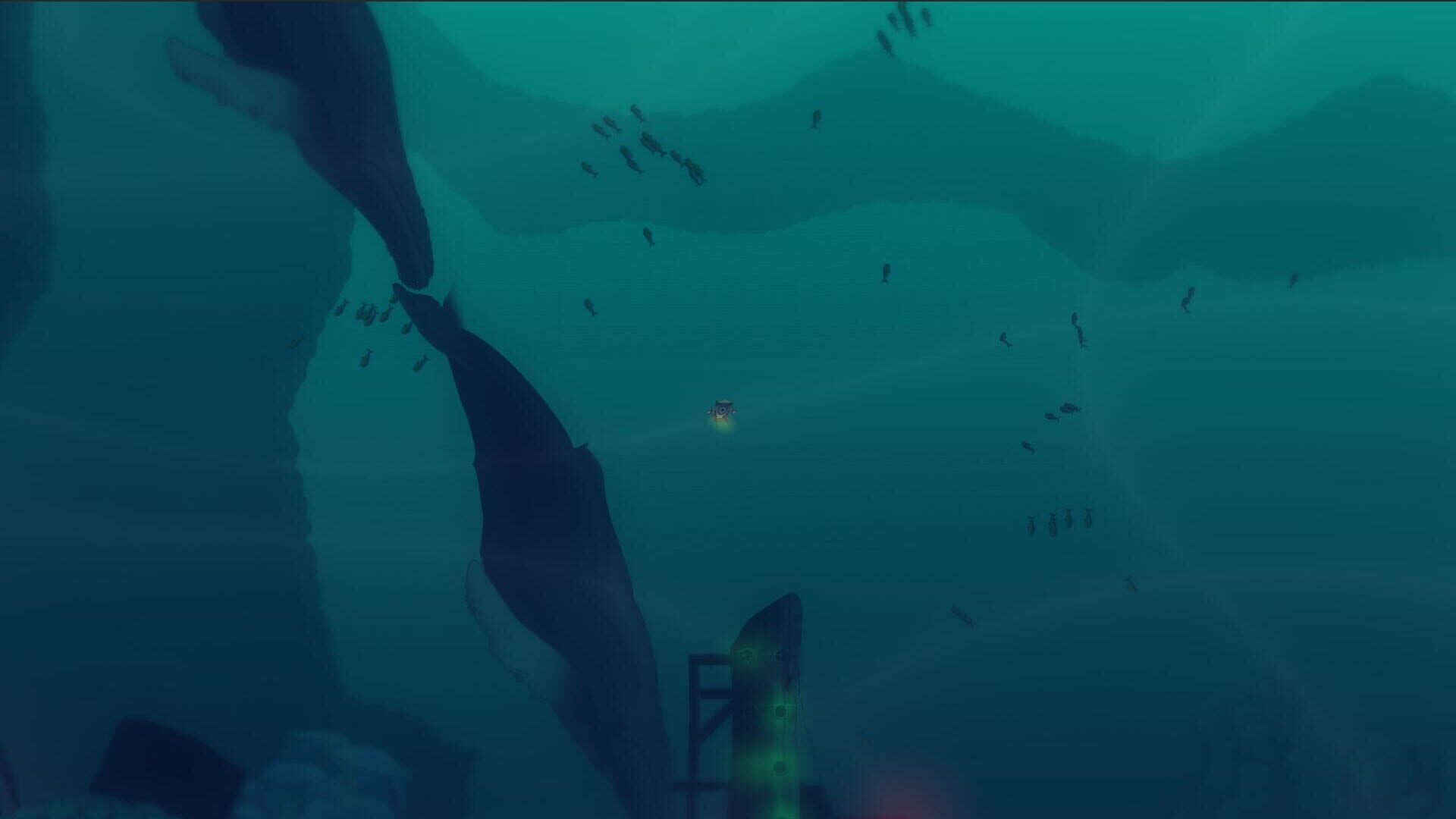 Avici - Screenshot