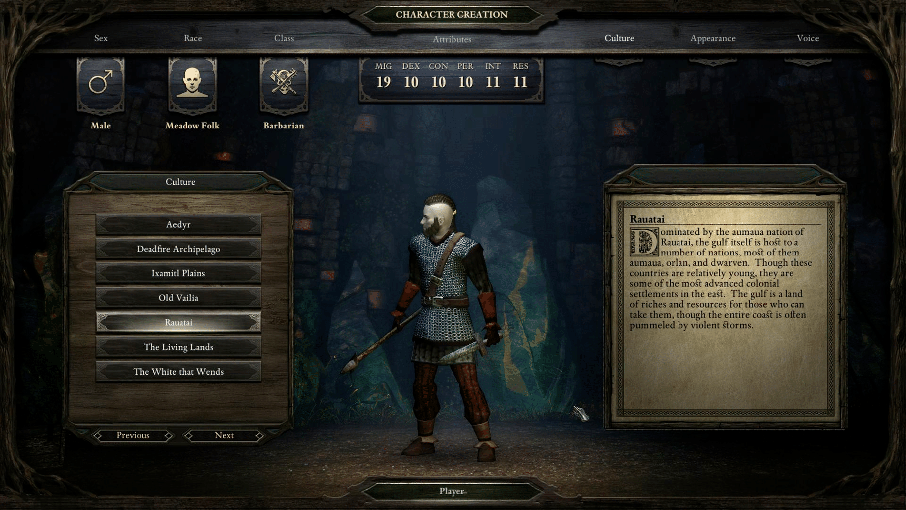 Pillars of Eternity: Champion Edition screenshot