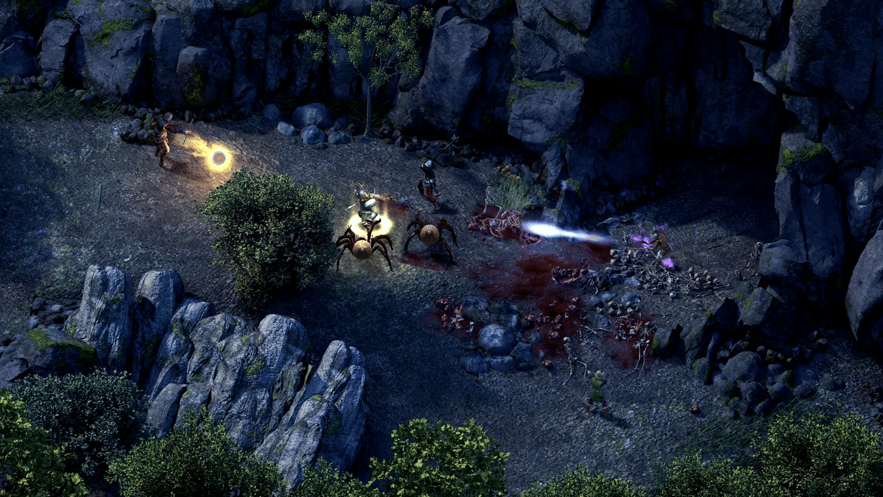 Pillars of Eternity: Champion Edition screenshot