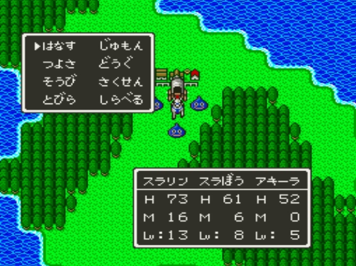 Captura de pantalla - Dragon Quest V: Tenkuu no Hanayome