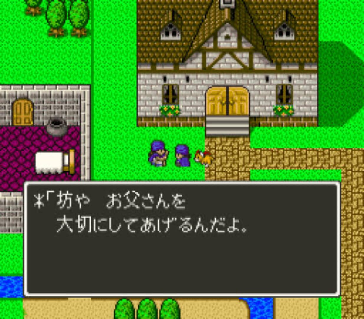 Captura de pantalla - Dragon Quest V: Tenkuu no Hanayome