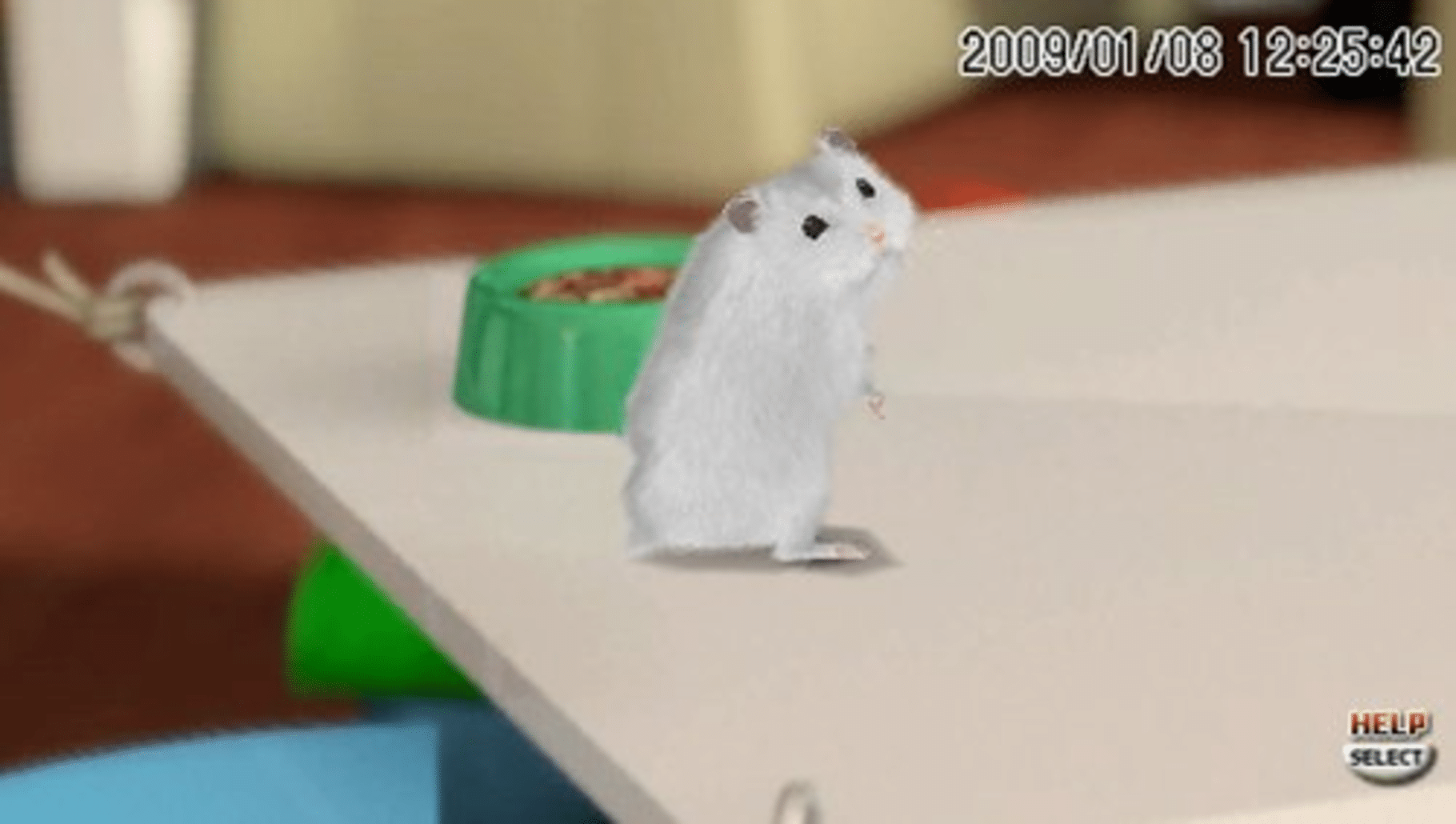 Petz Hamsterz Bunch screenshot