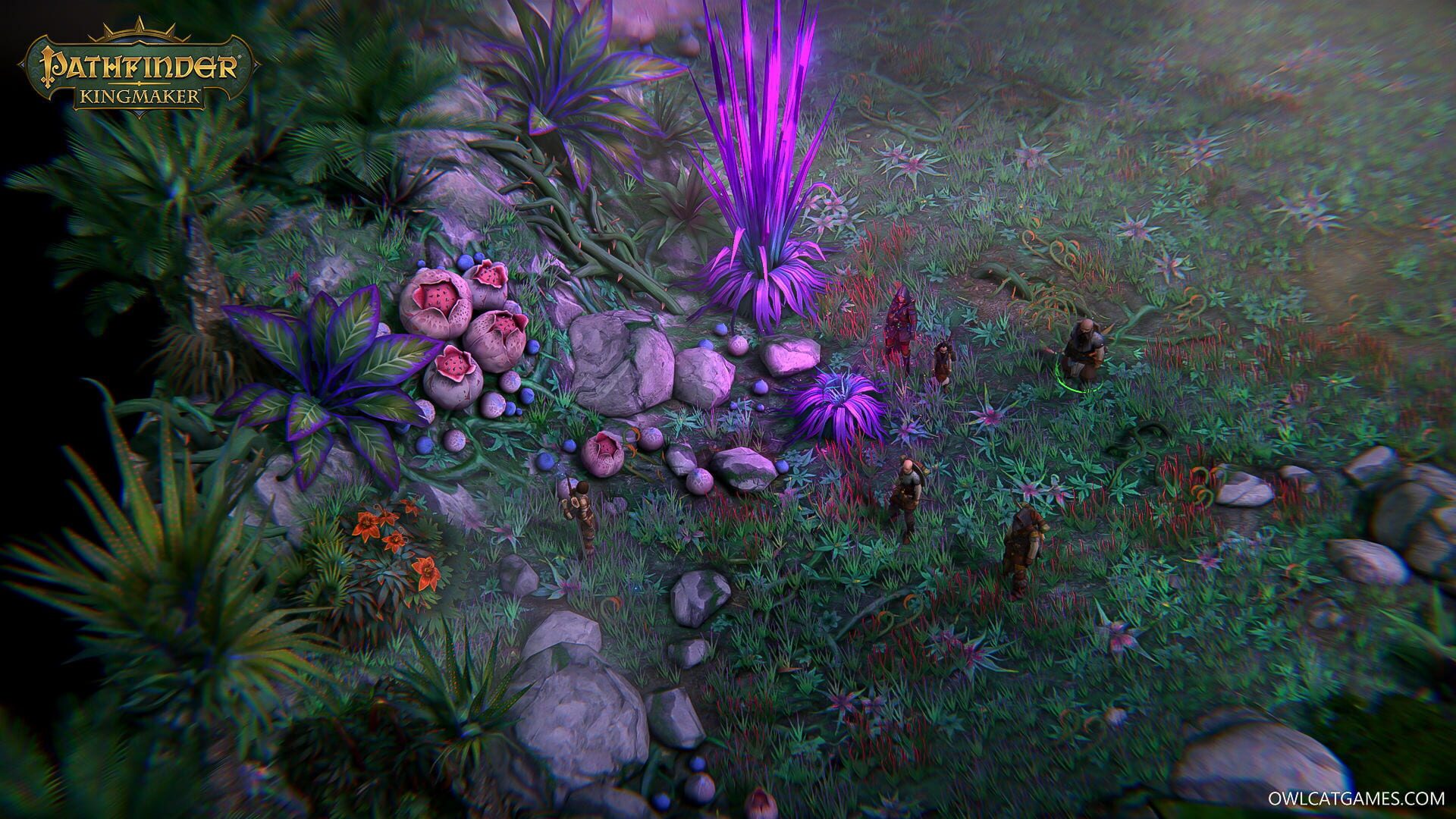Pathfinder: Kingmaker - Noble Edition - Screenshot