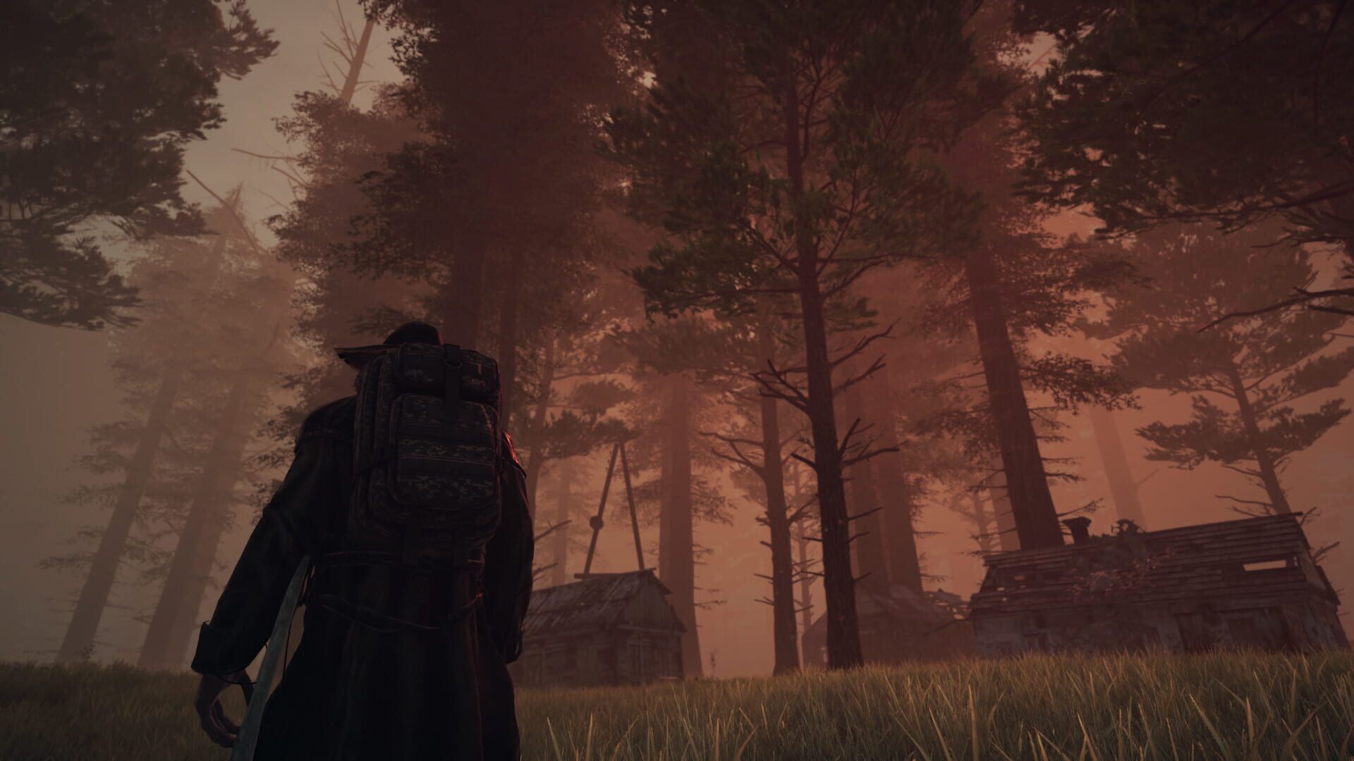 Paragrowth - Screenshot