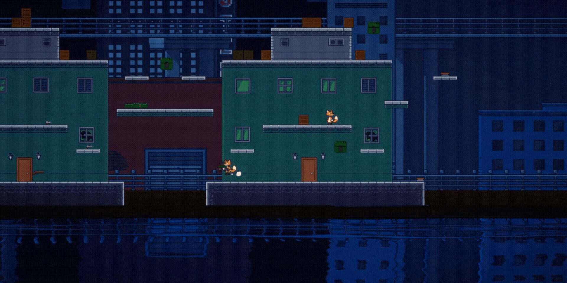 Animal Zone - Screenshot