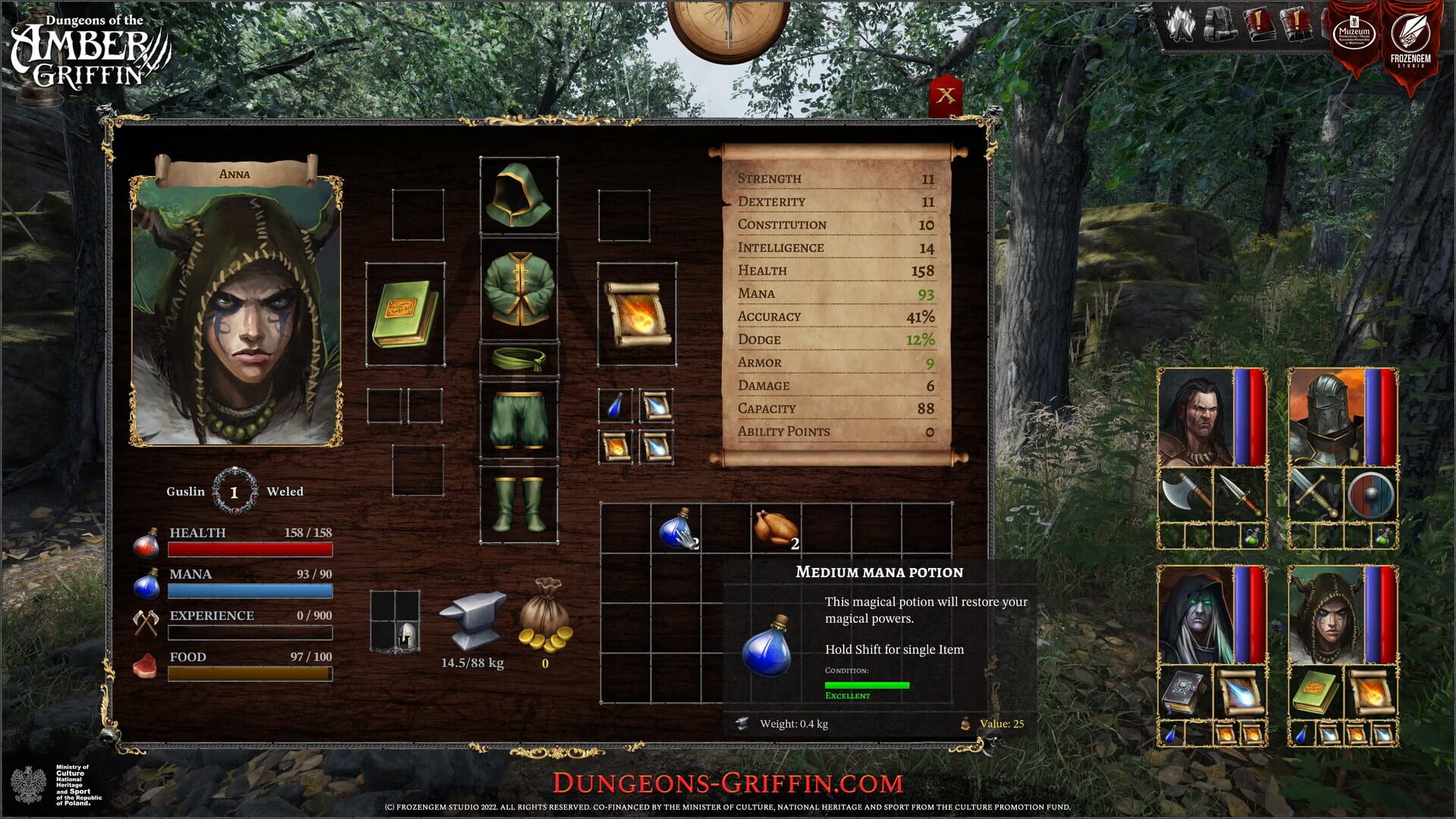 Dungeons of the Amber Griffin