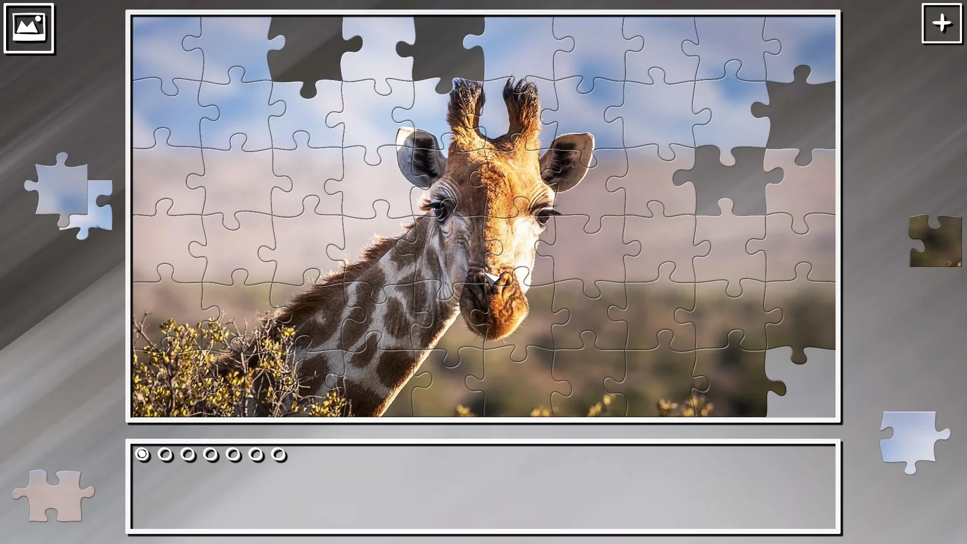 Thumbnail 12