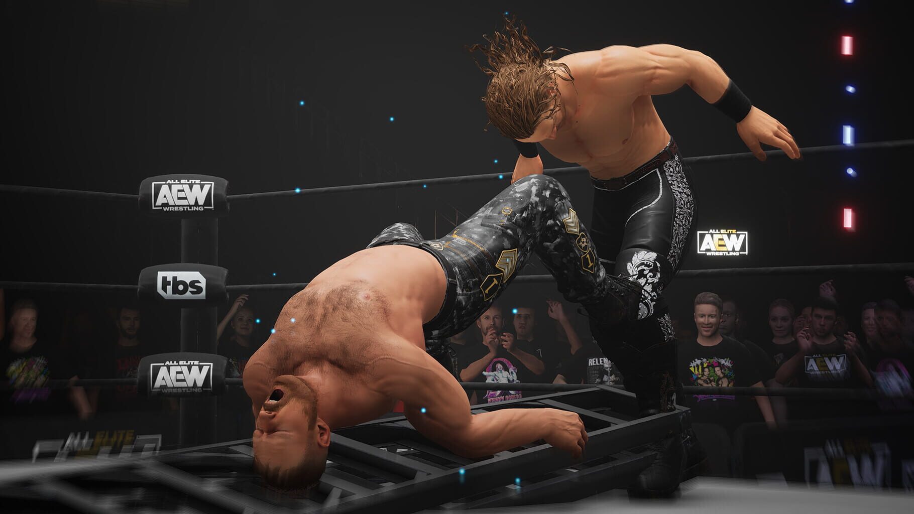 All Elite Wrestling: Fight Forever screenshots