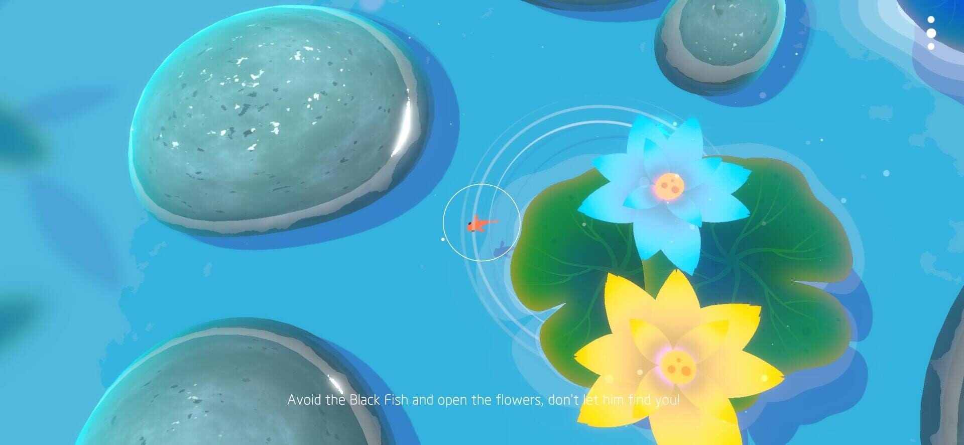 Koi Remake - Screenshot