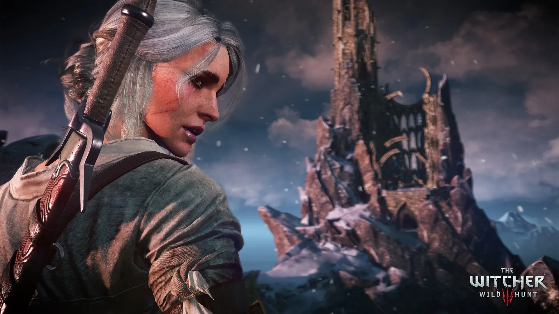 Captura de pantalla - The Witcher 3: Wild Hunt