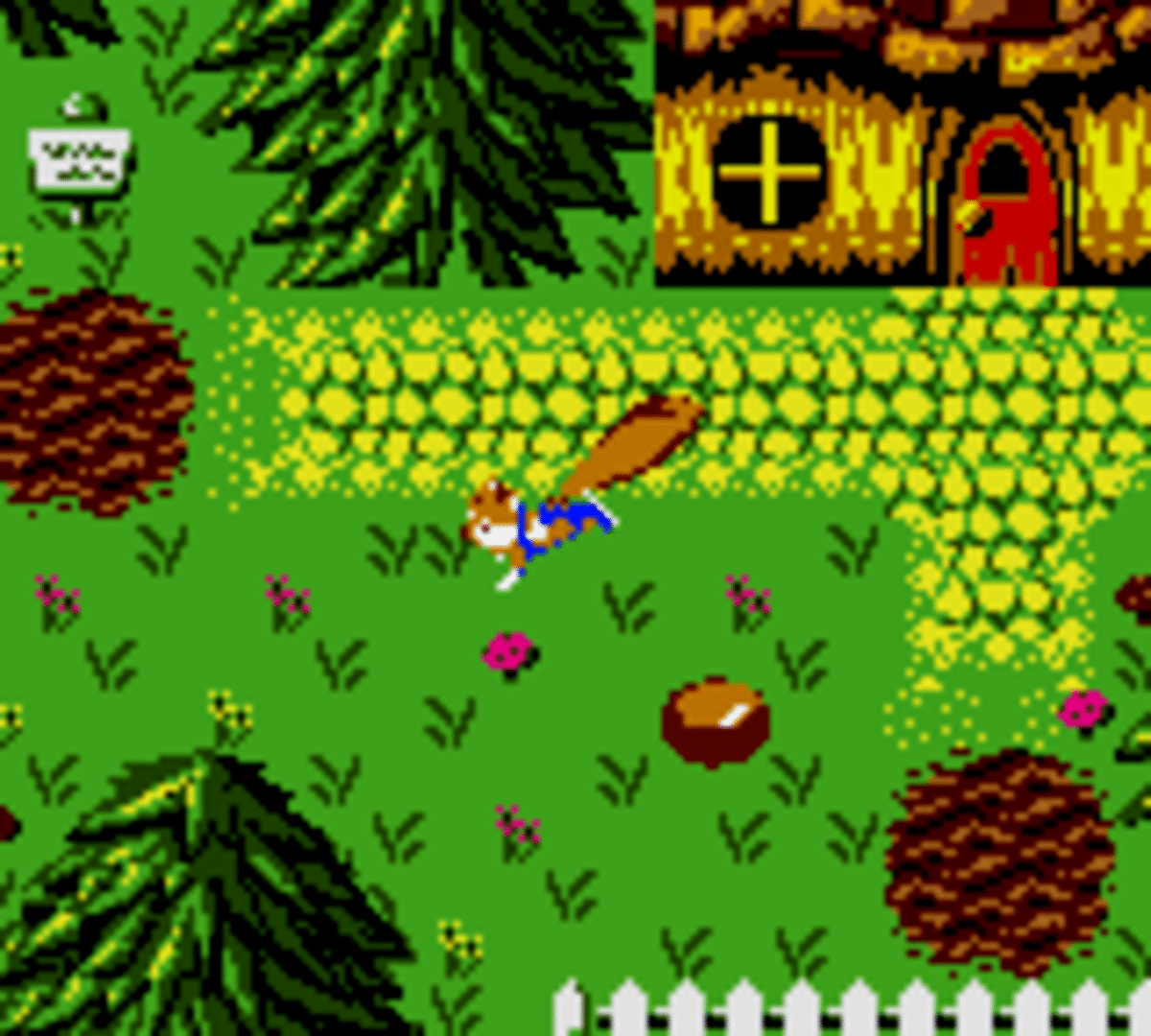 Conker's Pocket Tales screenshot