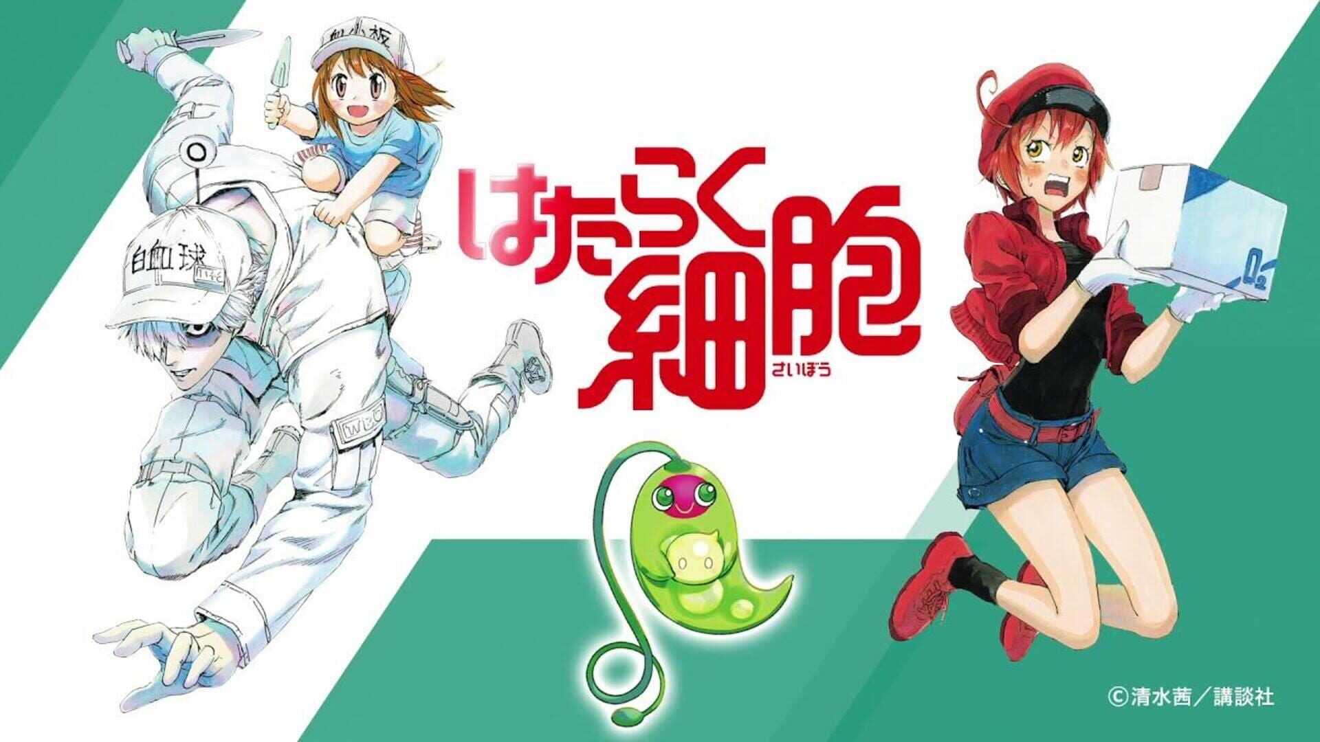 Cells at Work - Screenshot