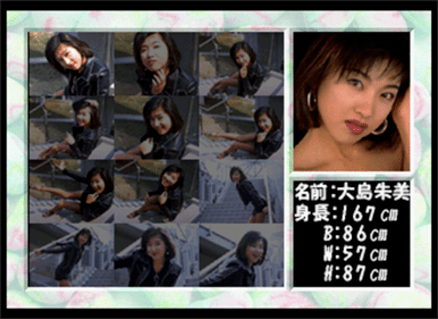 Private Idol Disc Vol. 3: Oshima Akemi screenshot