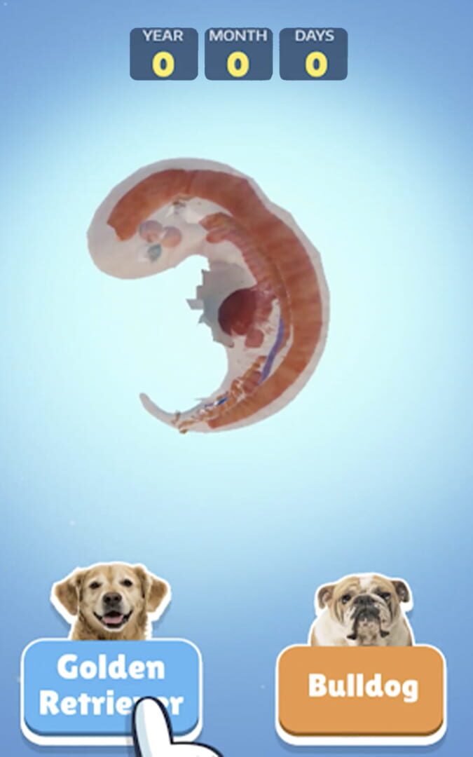 Dog Life Simulator - Screenshot