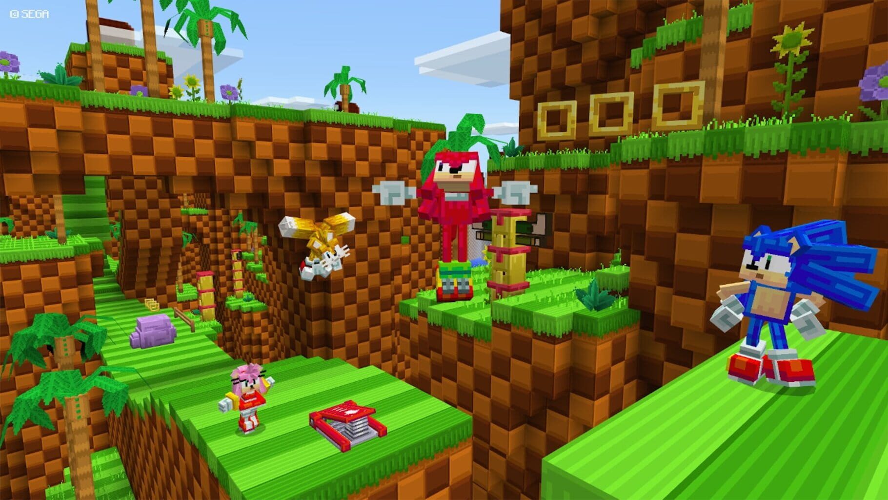 Captura de pantalla - Minecraft: Sonic the Hedgehog