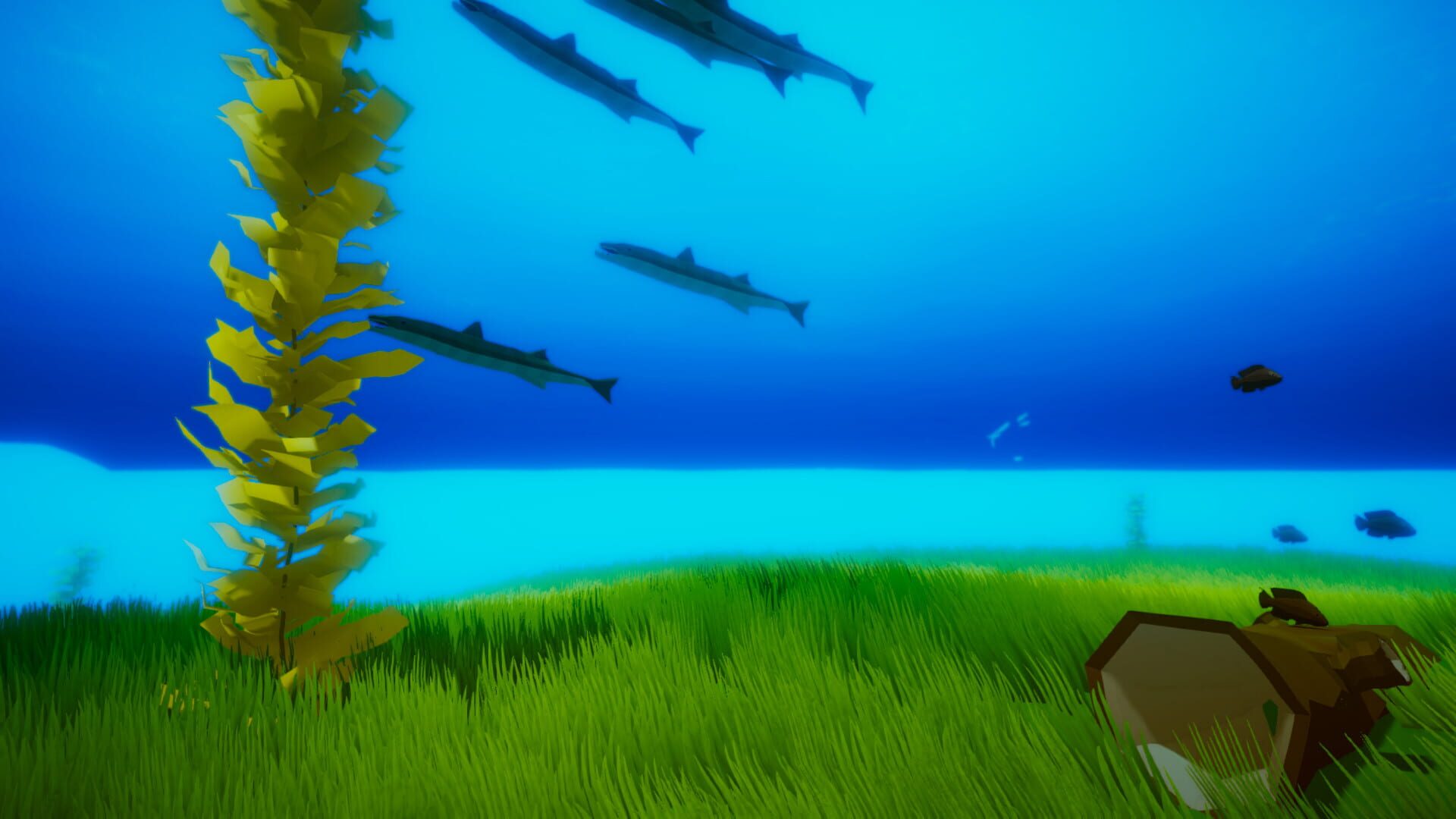Water Is All I Can See - Screenshot