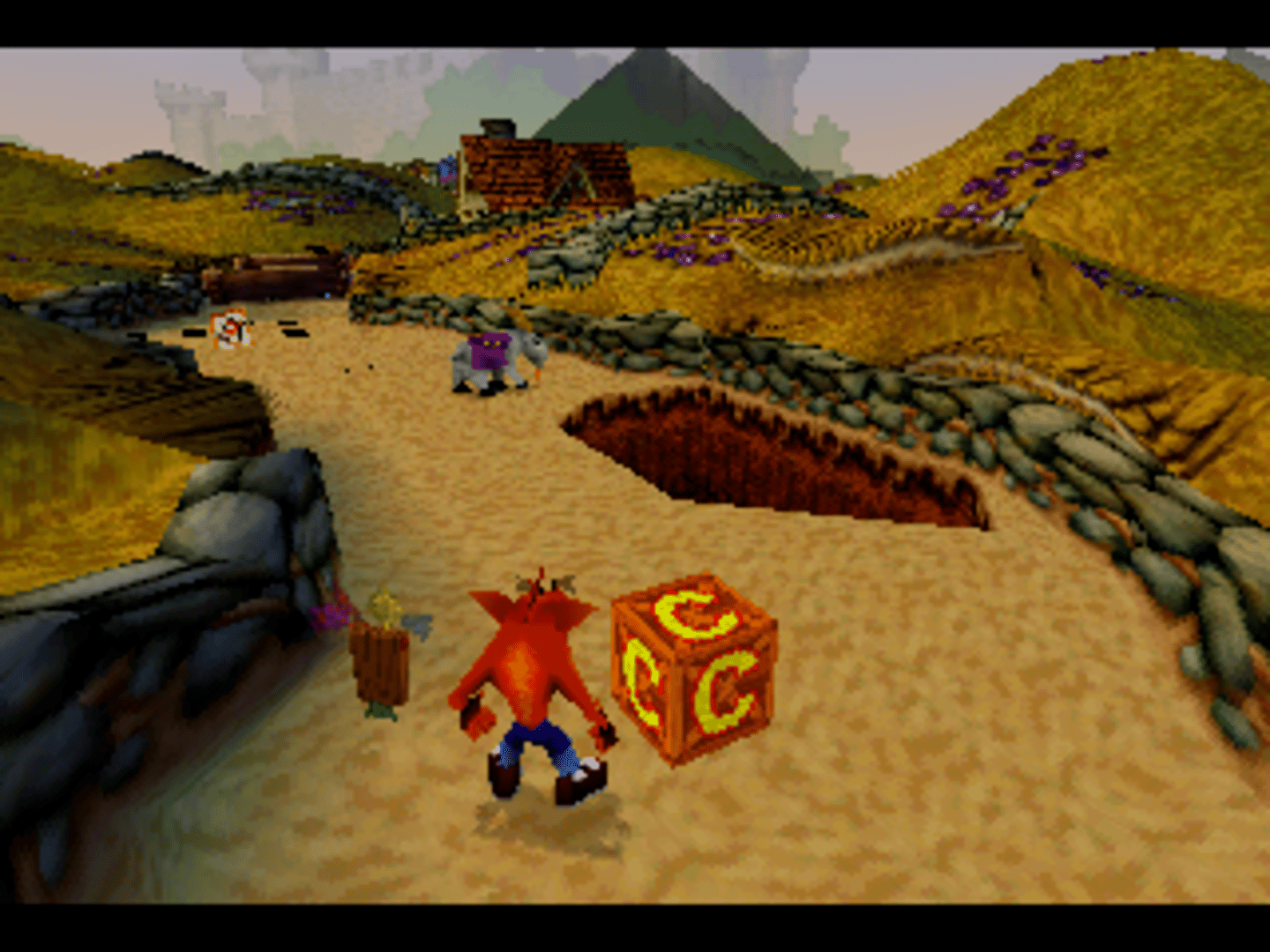 Crash Bandicoot: Warped screenshot