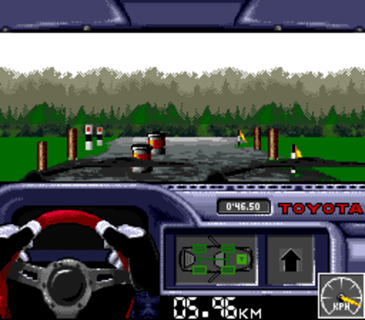 Rally: The Final Round of the World Rally Championship screenshot