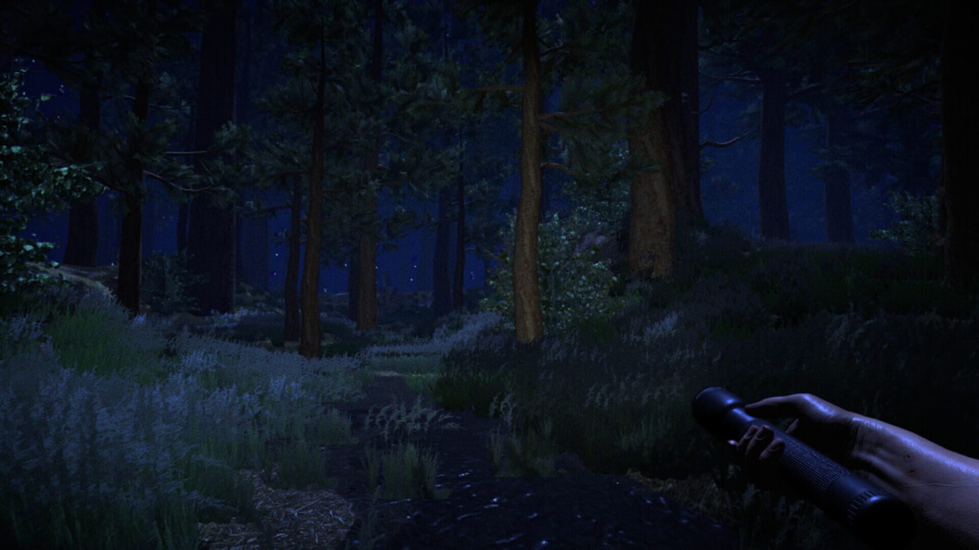 Deception - Screenshot