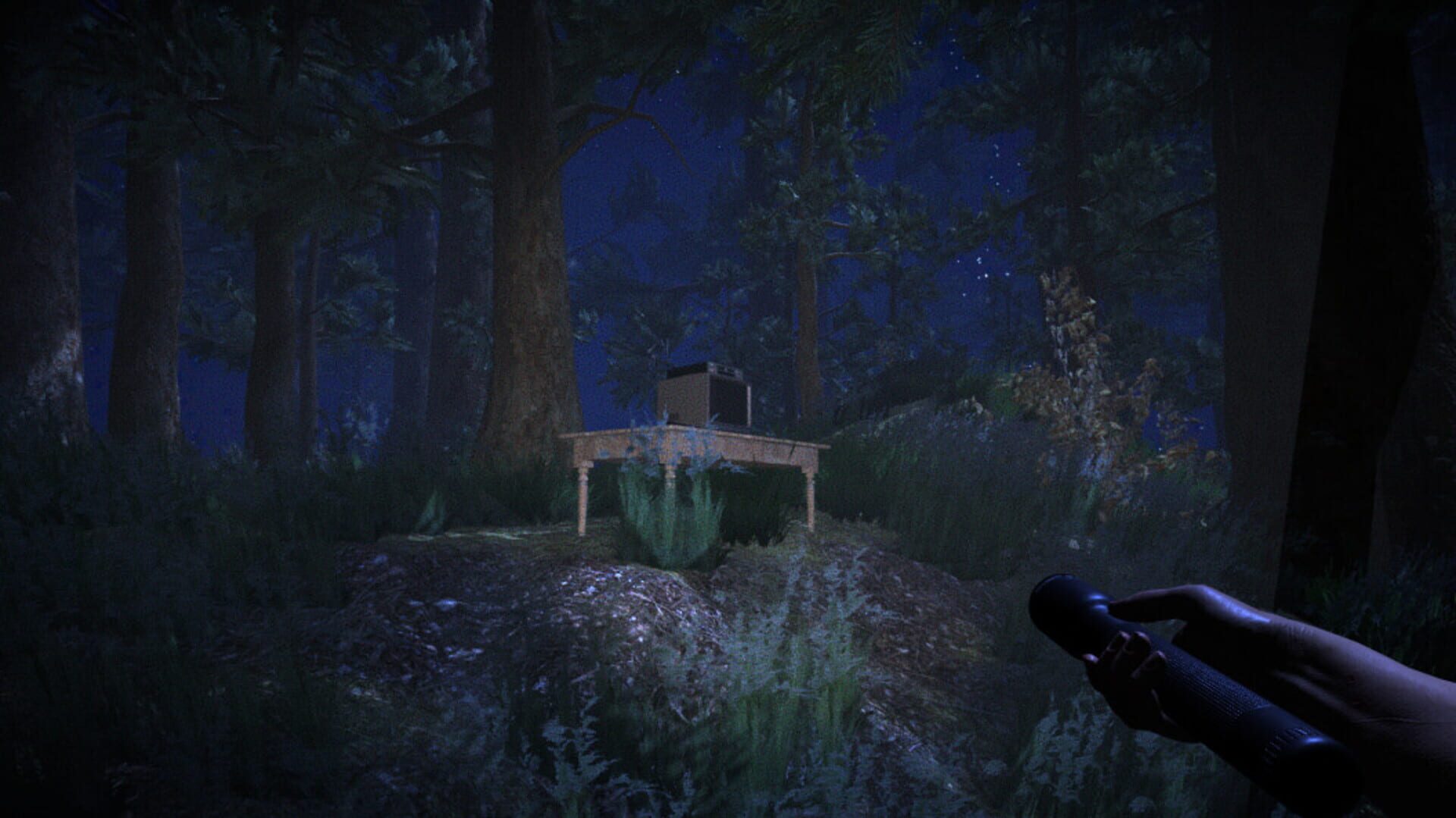 Deception - Screenshot