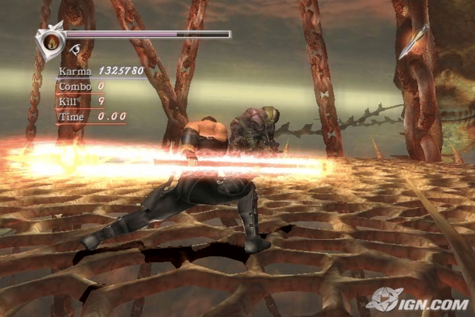 Ninja Gaiden Hurricane Pack II screenshot