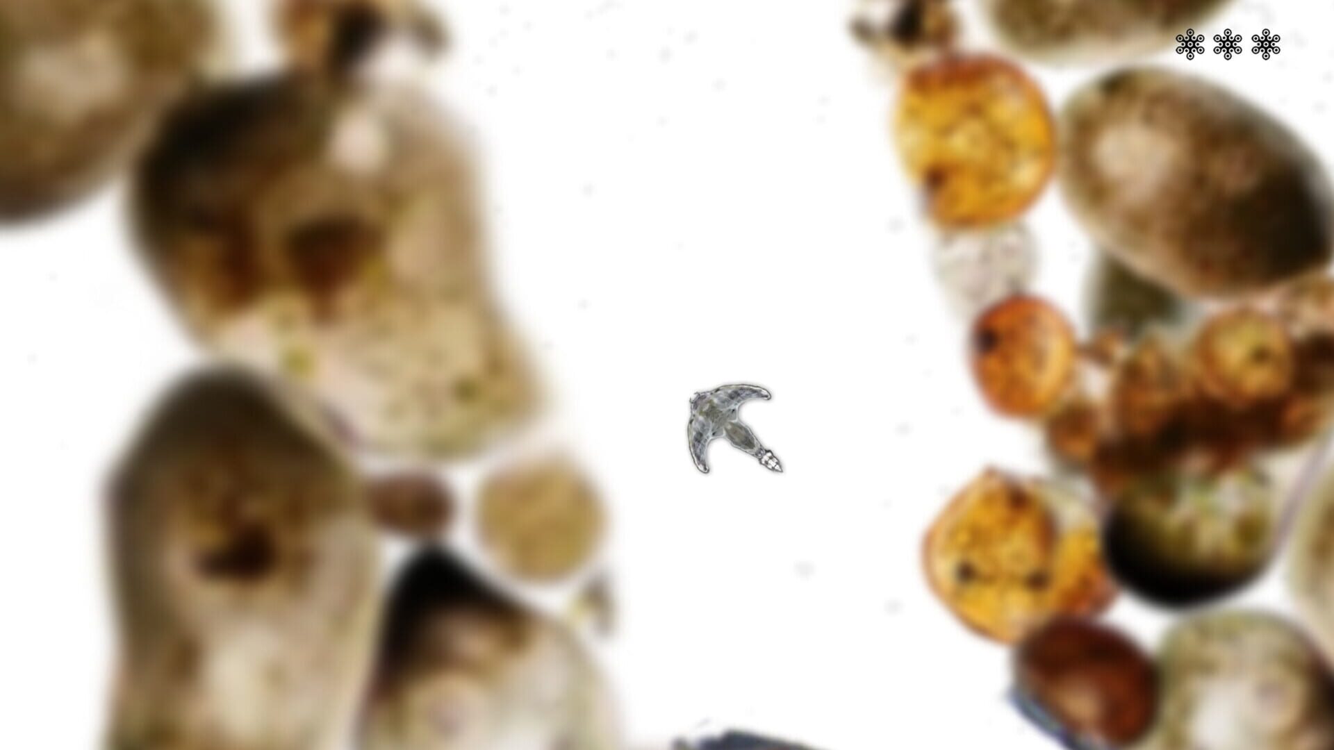 Microscopic - Screenshot