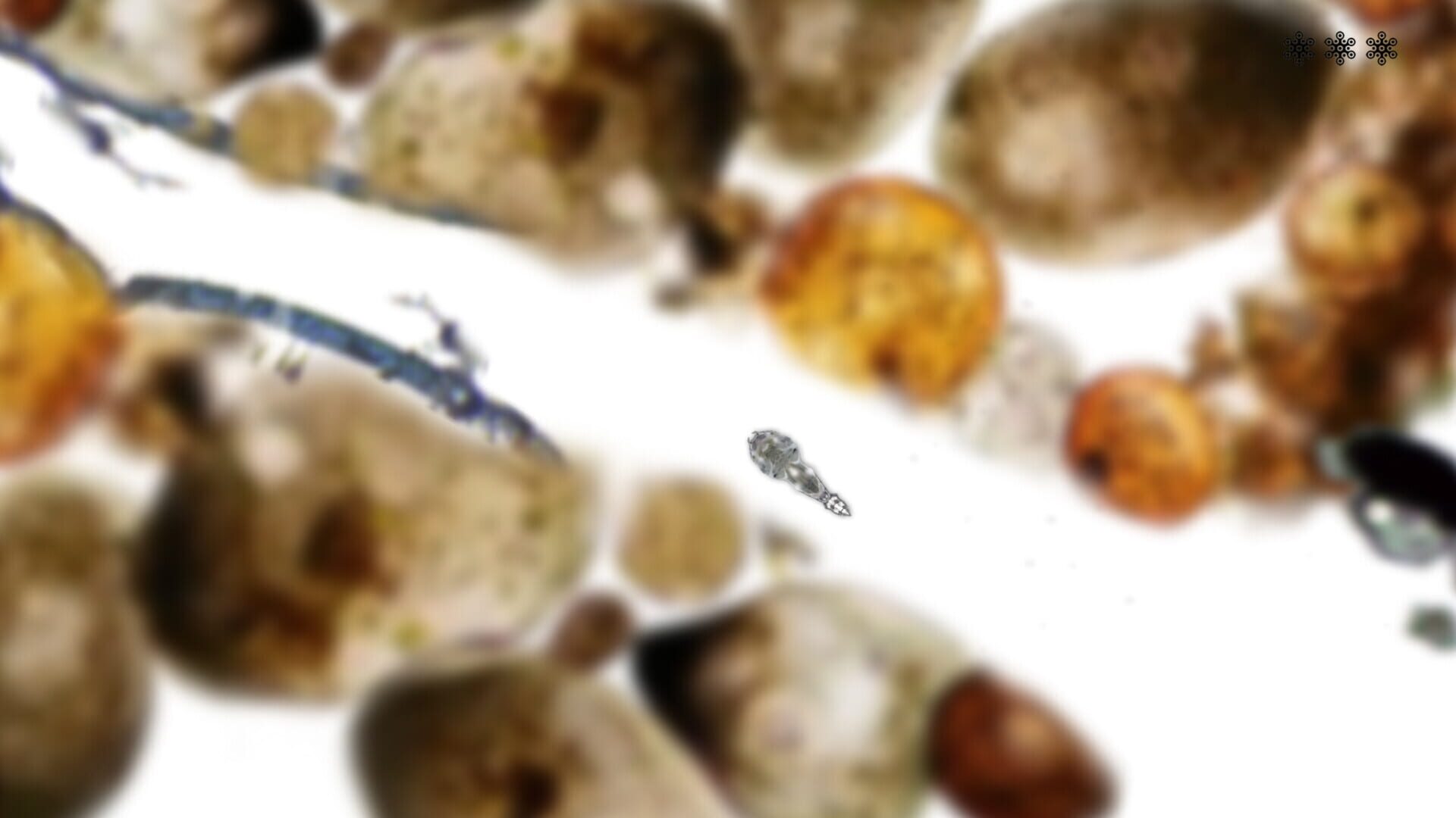 Microscopic - Screenshot