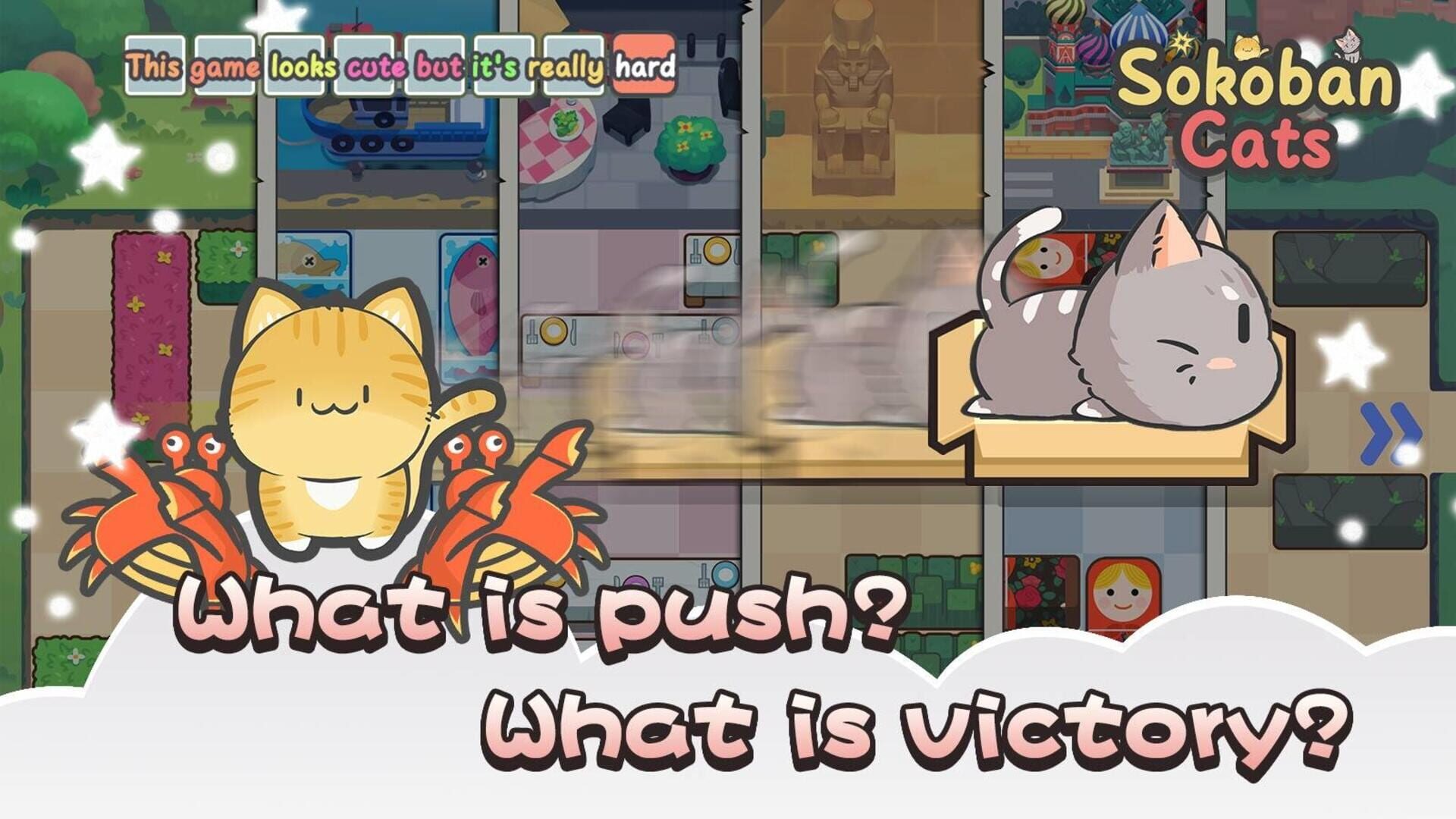 Sokoban Cats - Screenshot