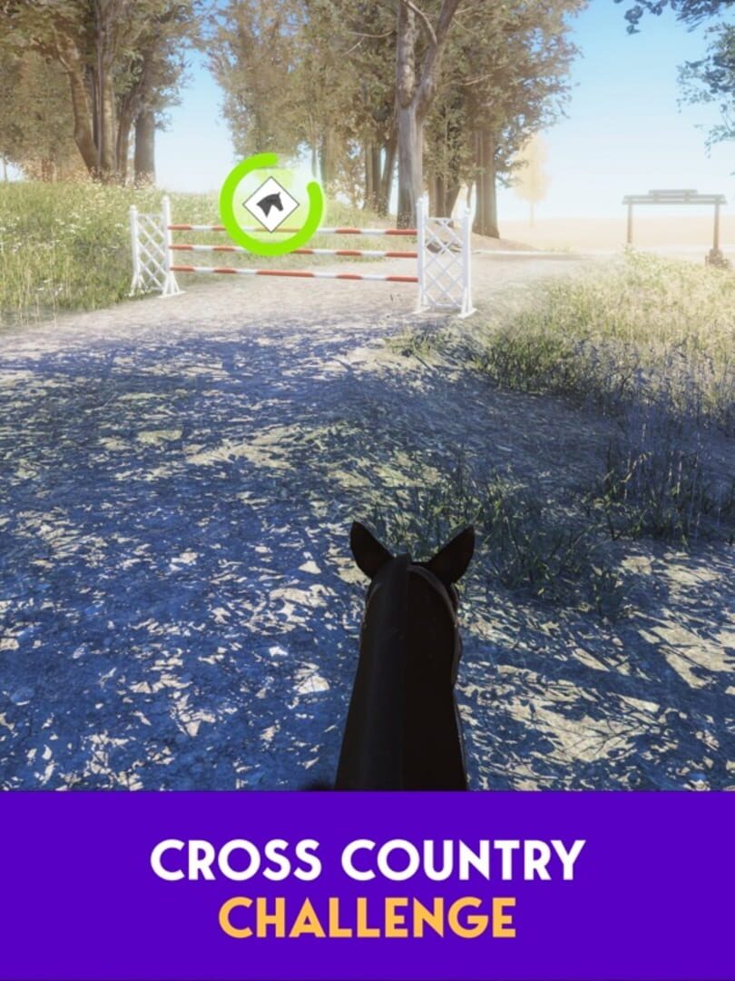 Real Horse 3D - Screenshot