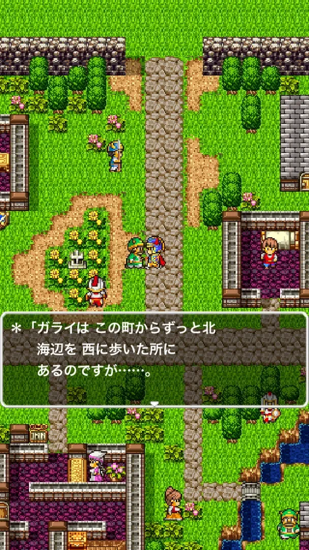 Captura de pantalla - Dragon Quest