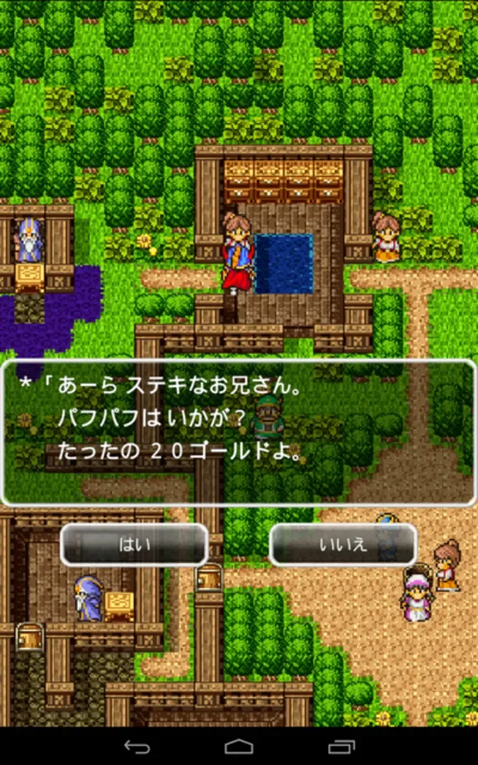 Captura de pantalla - Dragon Quest