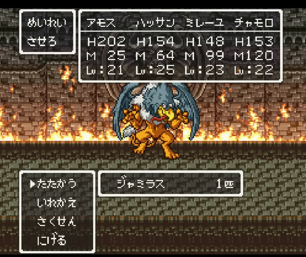 Captura de pantalla - Dragon Quest VI: Maboroshi no Daichi